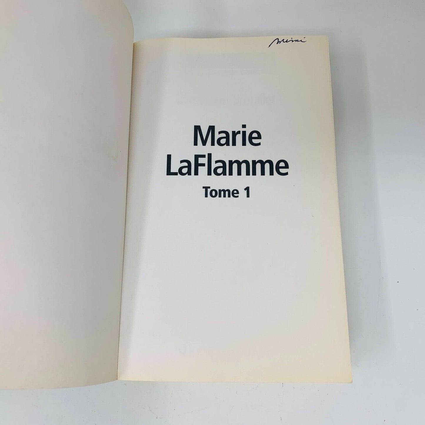 Marie Laflamme Tomes 1-2 Romans en Grands Caractères Chrystine Brouillet Lot