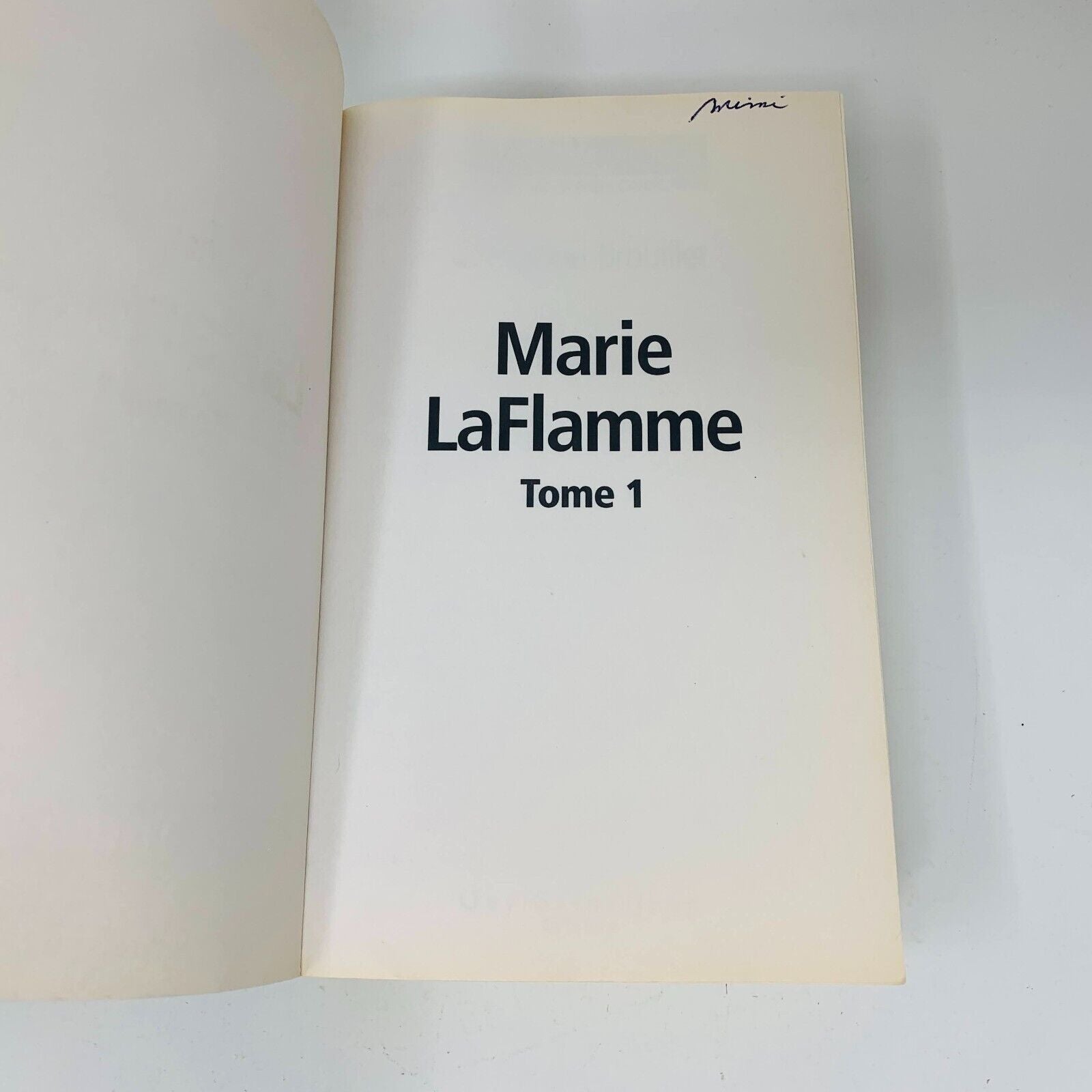 Marie Laflamme Tomes 1-2 Romans en Grands Caractères Chrystine Brouillet Lot