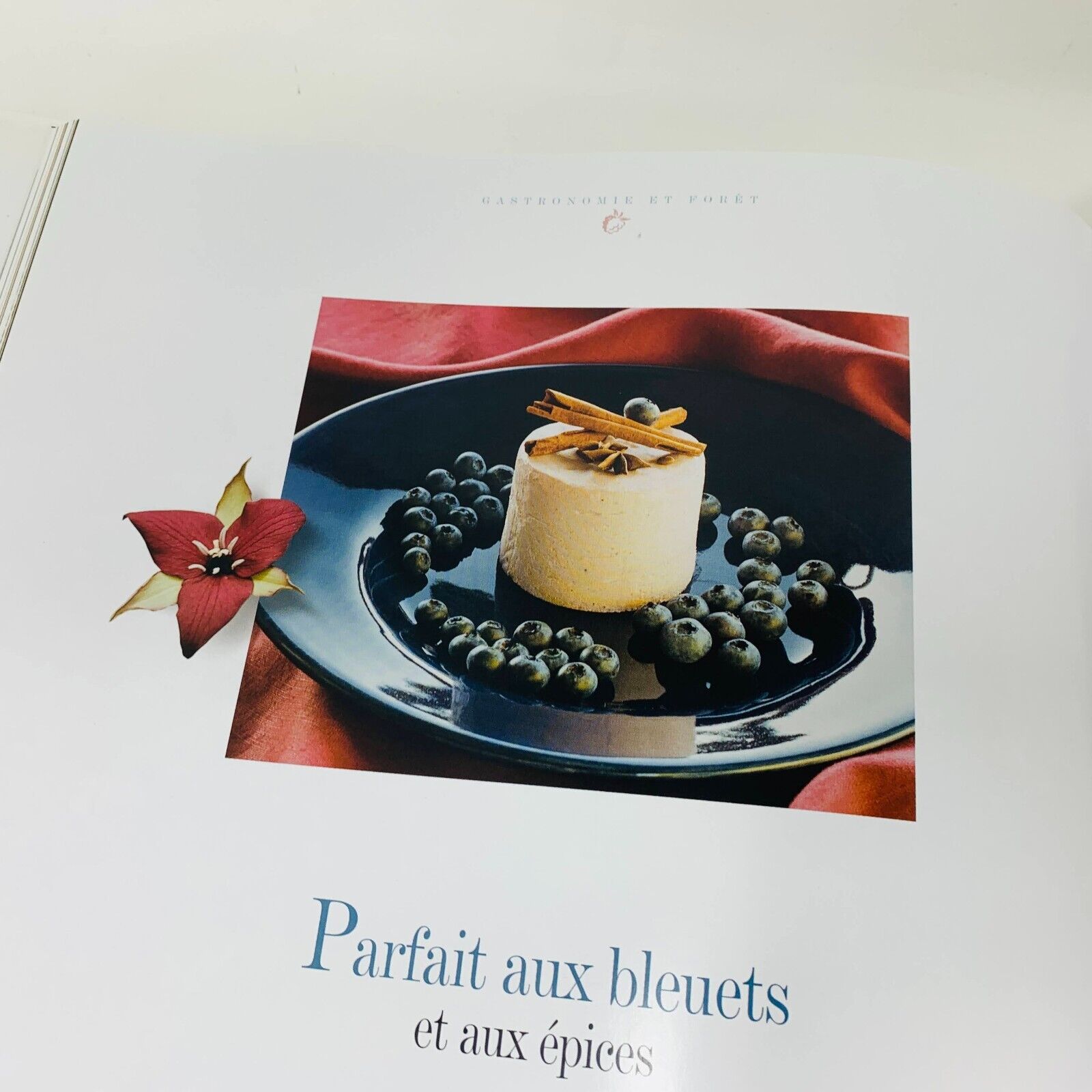 2003 Gastronomie en Forêt Gesti-Faune Livre Recettes Cuisine en Français French