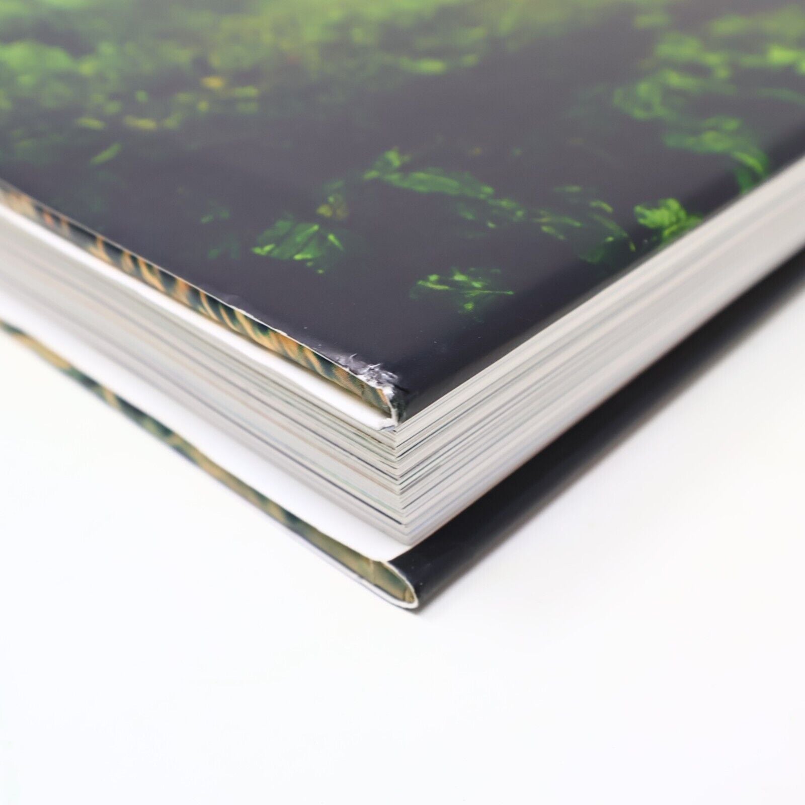 2014 Rainforest by Lewis Blackwell Nature Photos Harry N. Abrams Book Hardcover