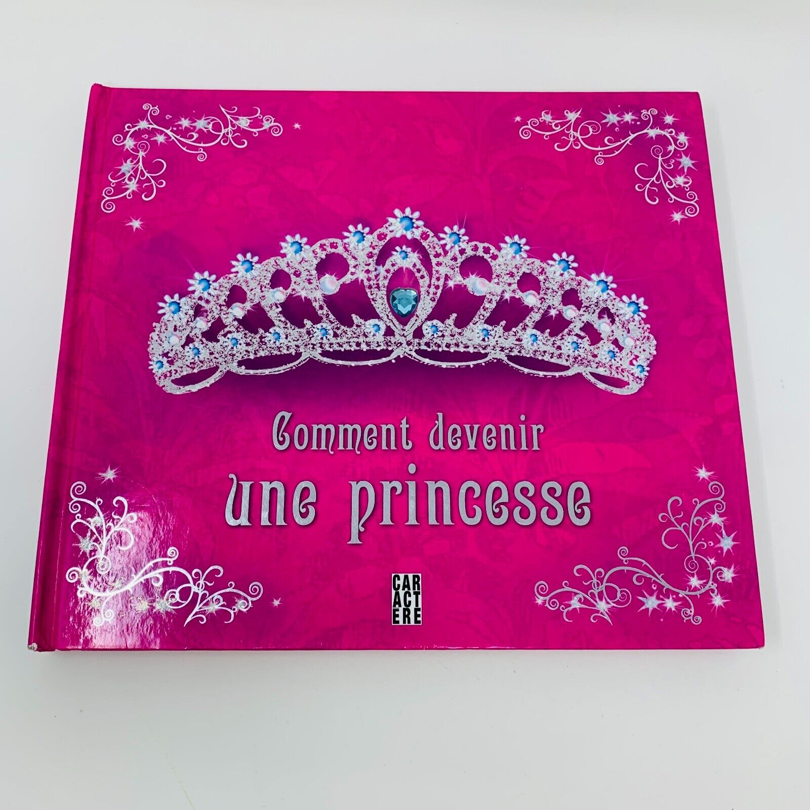 Lot 9 Livres Jeunes Enfants Princesses Fée Français French Mixed Children Bundle