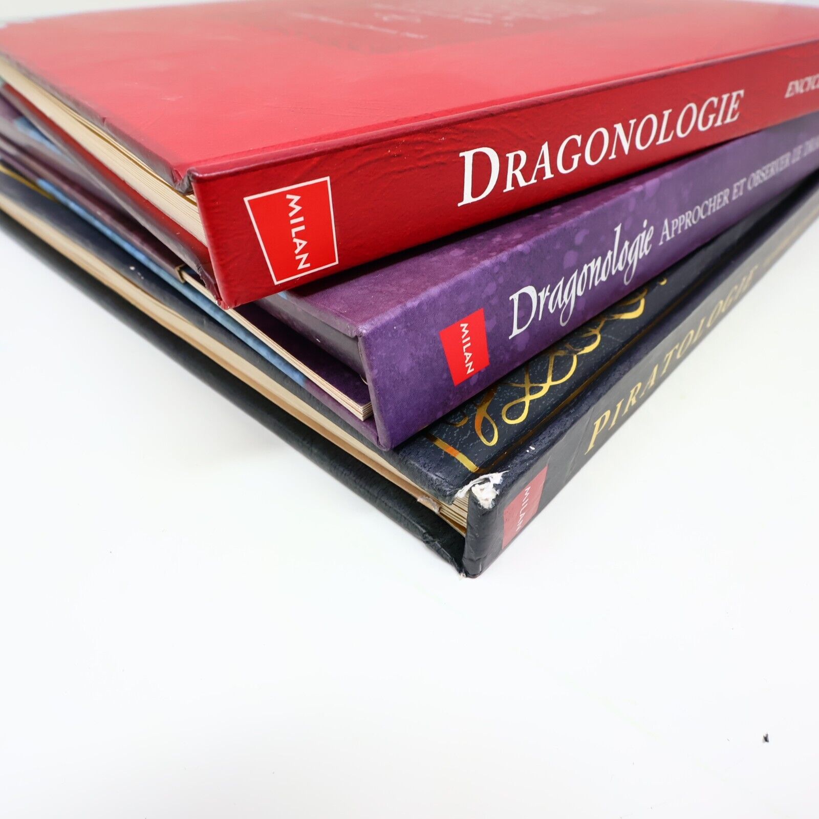 Lot 3 Livres Dragonologie/Dragon des Glaces/Piratologie Dugald A. Steer Français