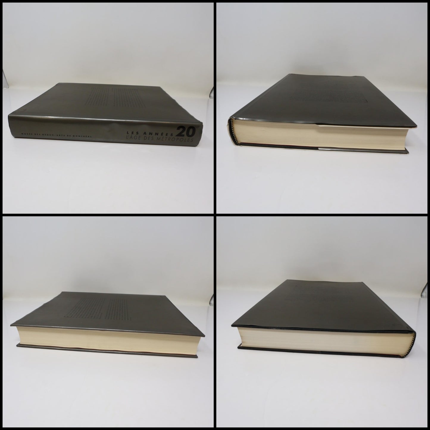 Les Années 20 L'âge des Métropoles MBAM Catalogue Exposition 1991 HC Français
