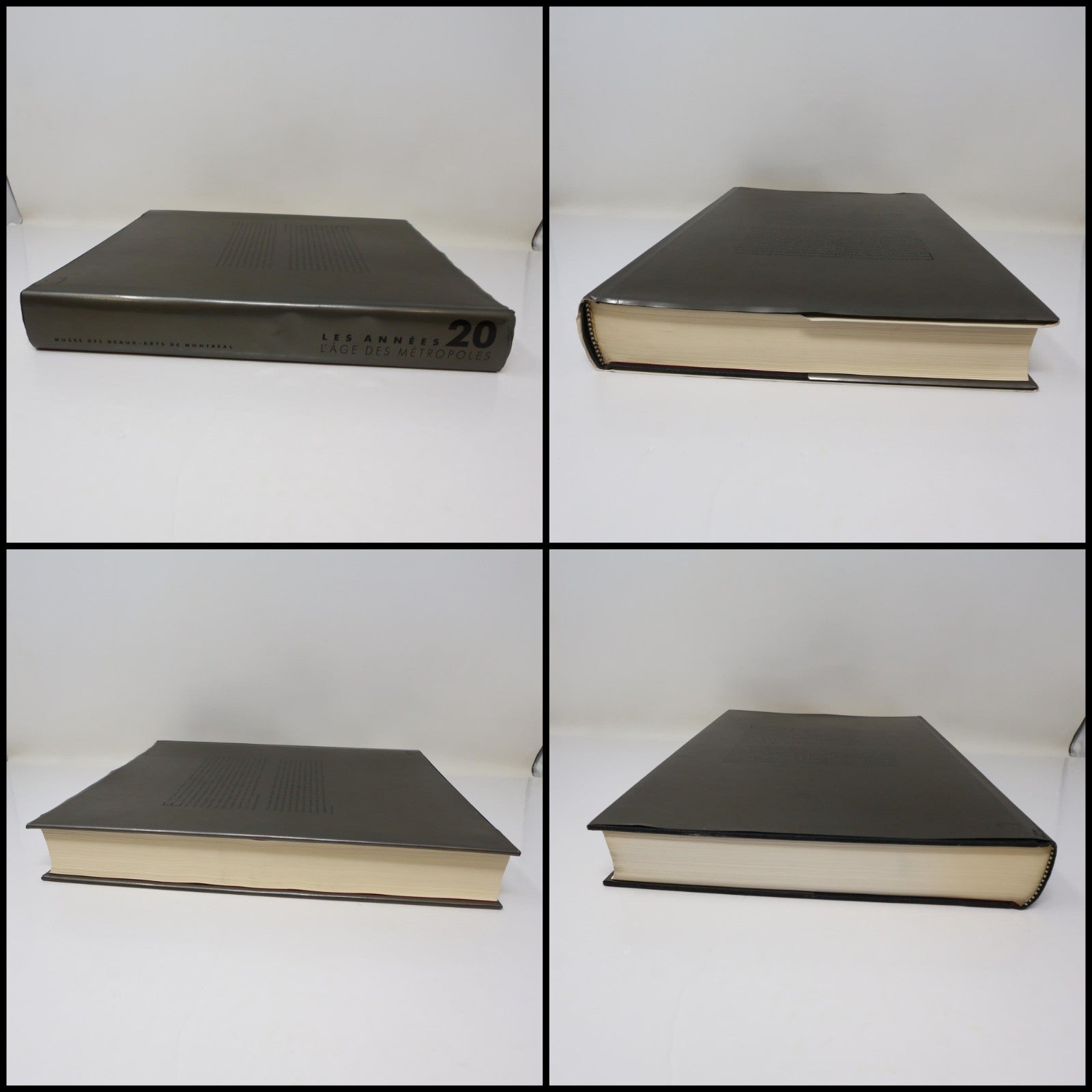 Les Années 20 L'âge des Métropoles MBAM Catalogue Exposition 1991 HC Français
