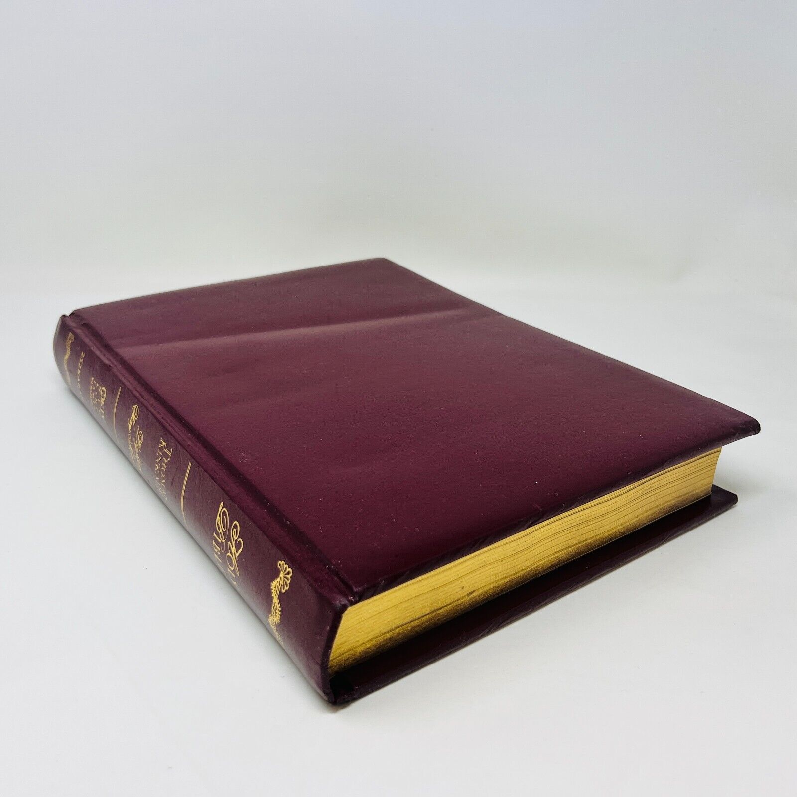 2002 Holy Bible Thomas Kinkade Painter of Light NKJV Thomas Nelson Padded HC