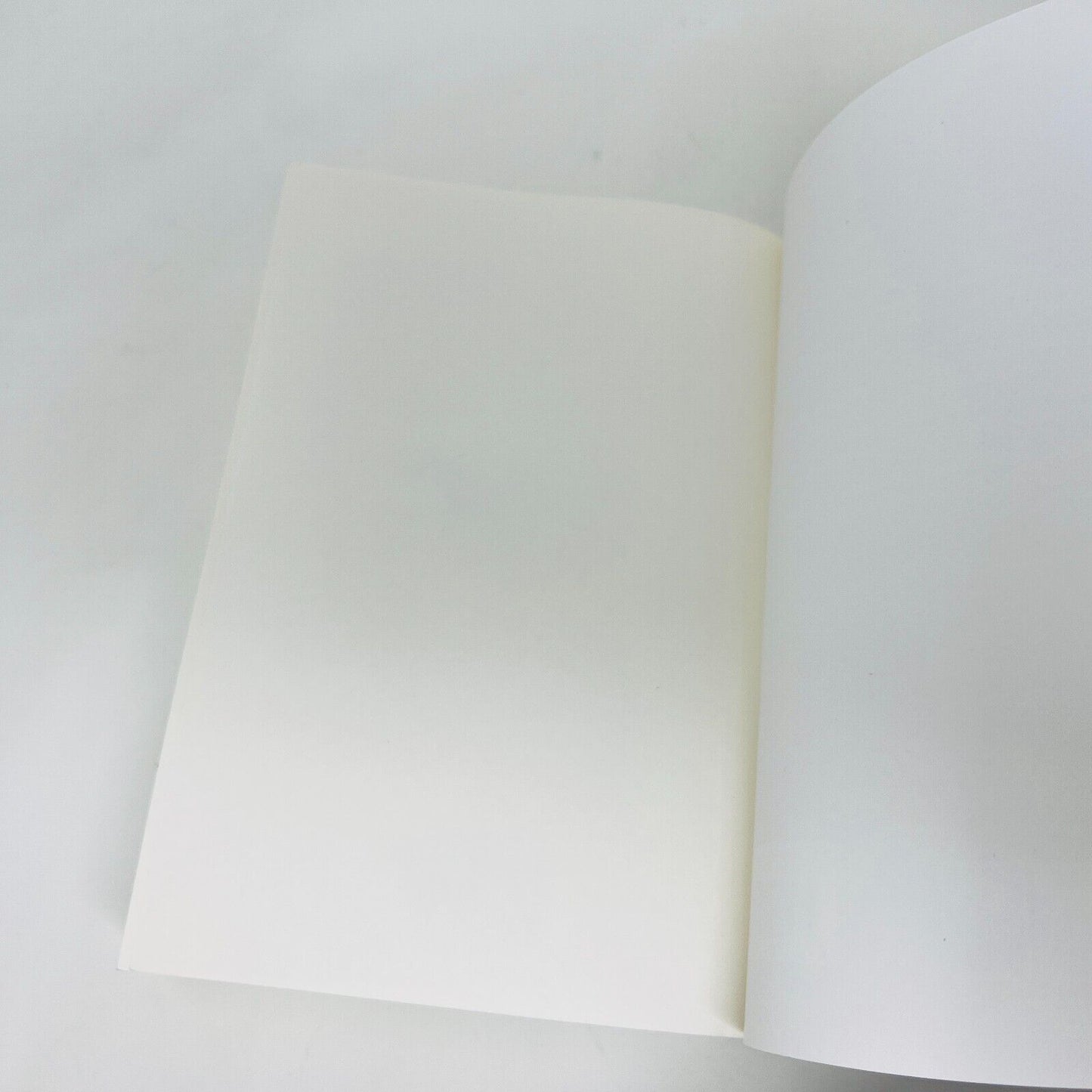 2020 War Storm de Victoria Aveyard en Français/French Livre MSK Saga Red Queen
