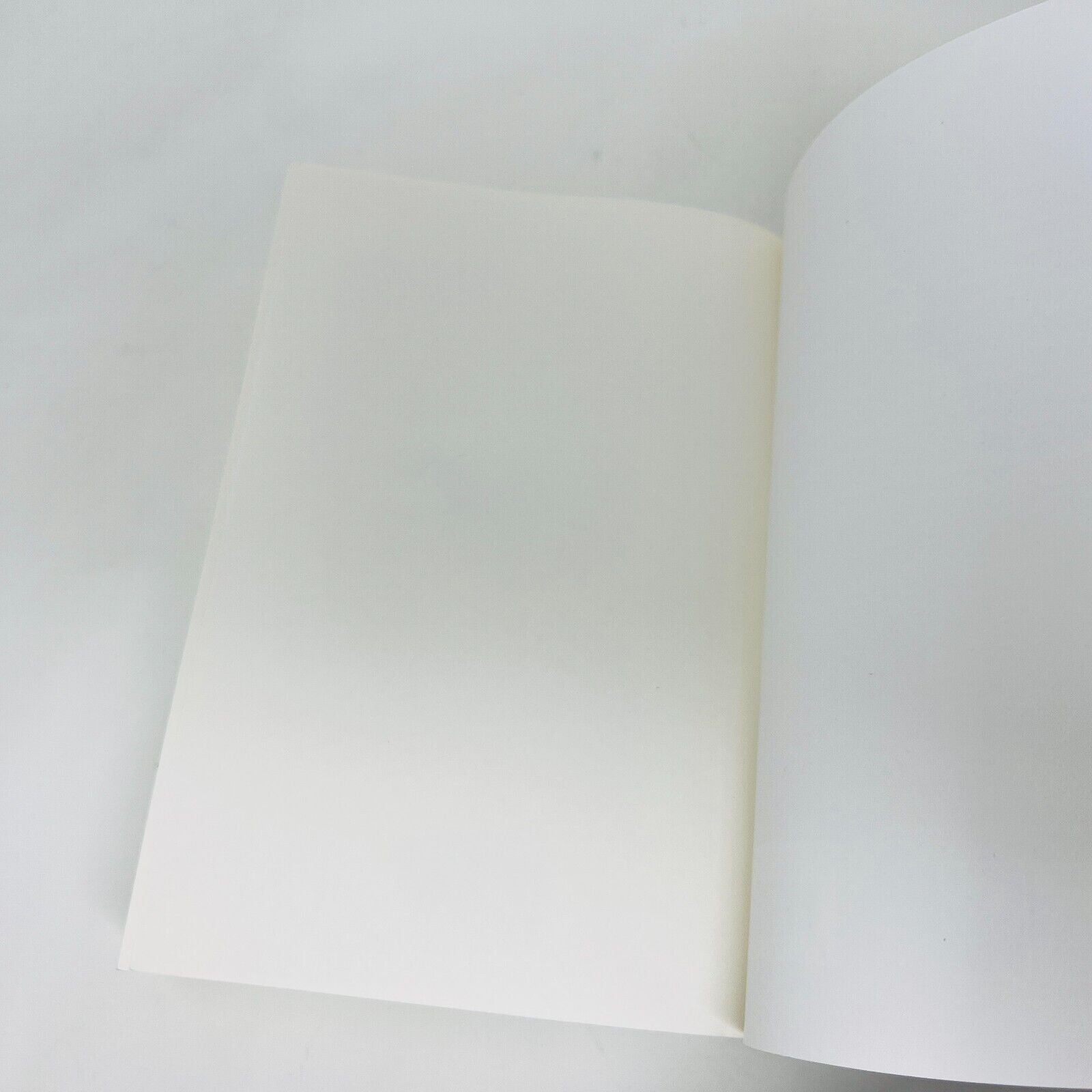 2020 War Storm de Victoria Aveyard en Français/French Livre MSK Saga Red Queen