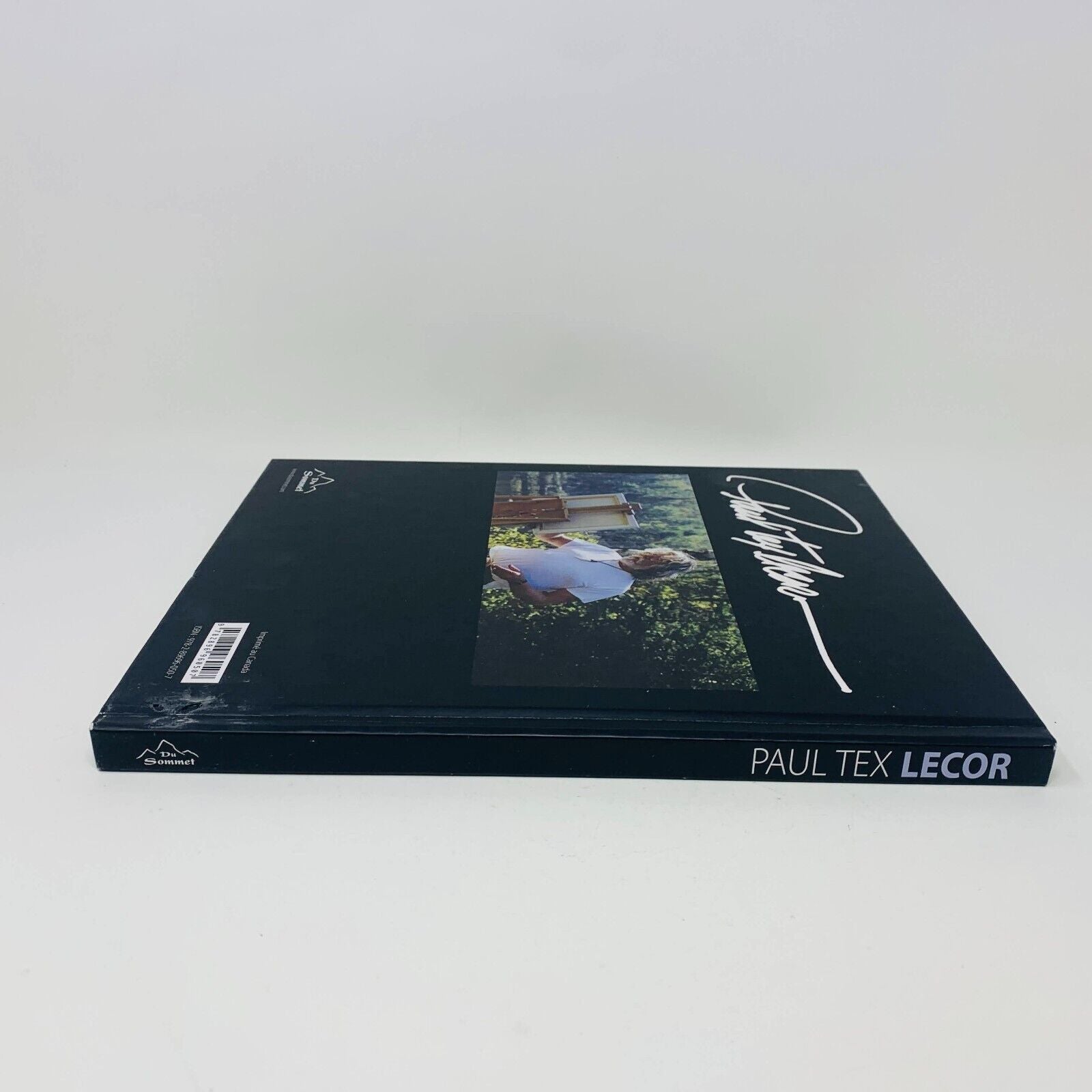 2013 Paul Tex Lecor Mon Monde Pour Vous Français/Anglais Livre sur Peintures Art