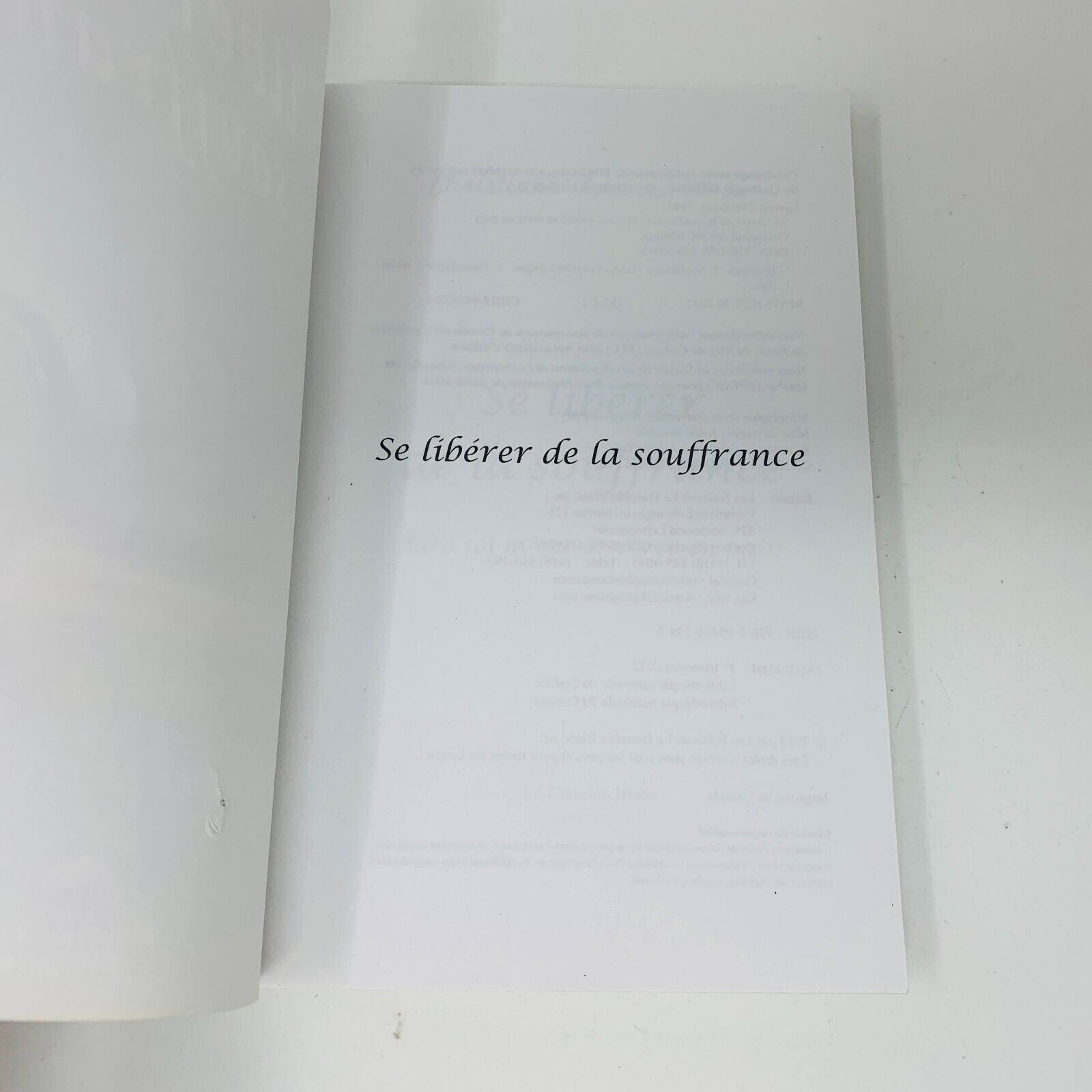 2012 Se Libérer de la Souffrance Être Soi-Même et Vivre en Paix Christine Lavoie