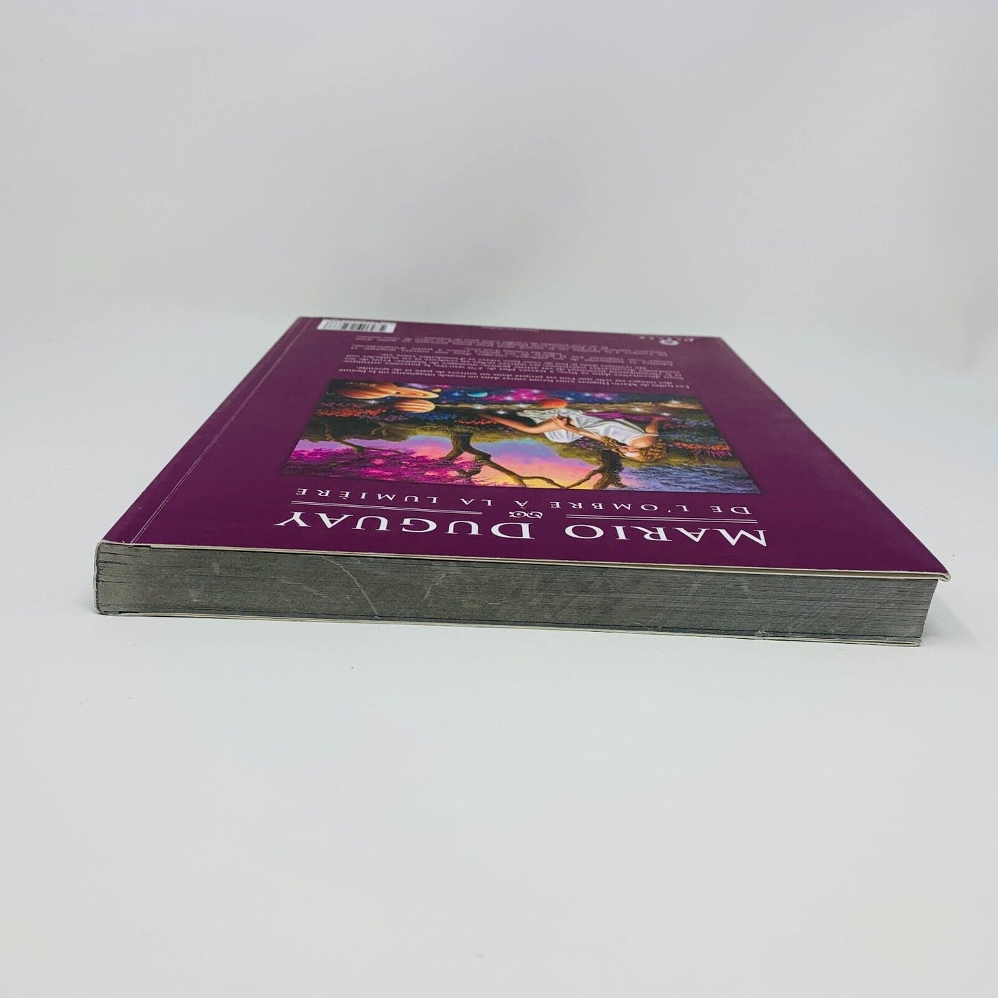 2012 Mario Duguay De l'Ombre à la Lumière Illustrations Peintures Français Livre