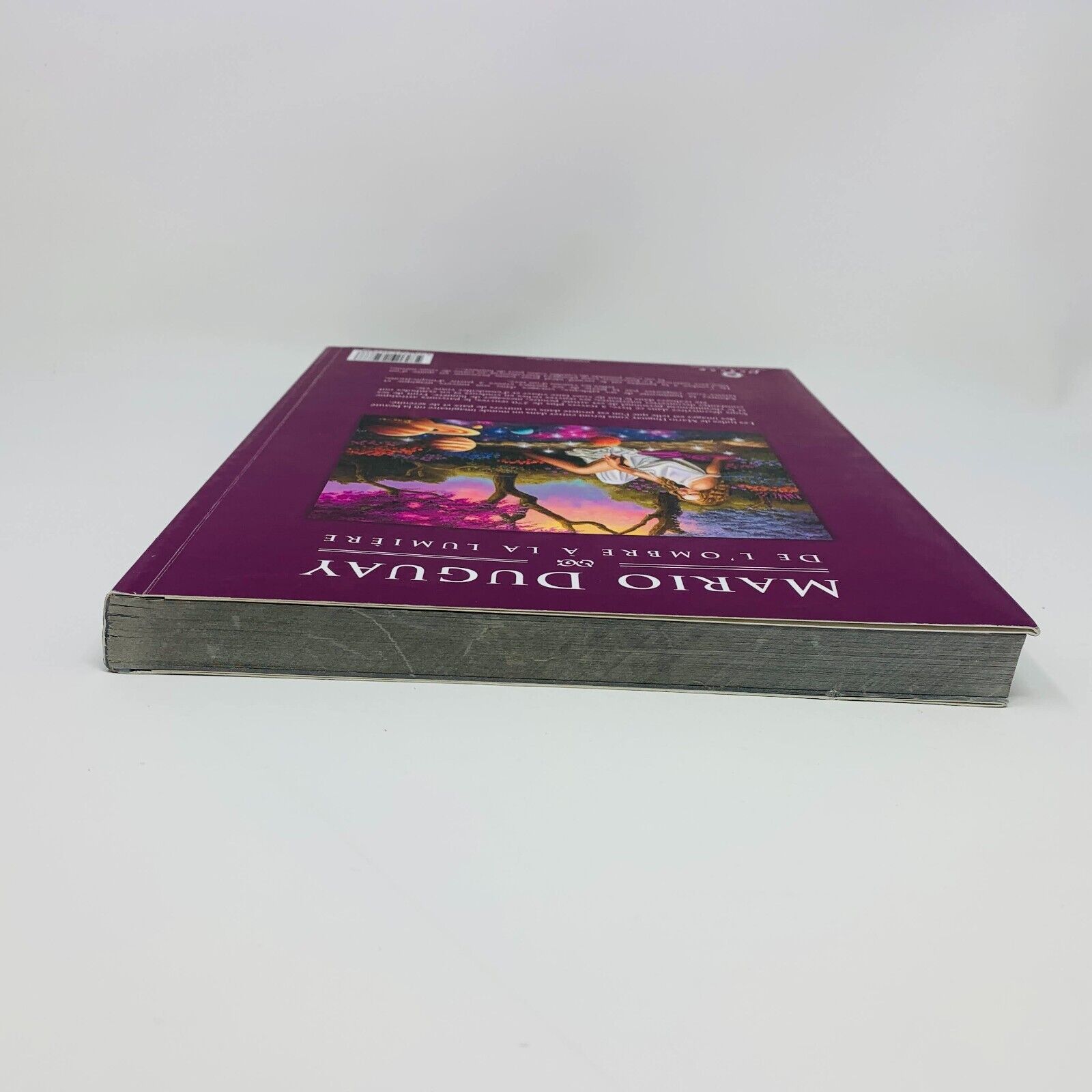 2012 Mario Duguay De l'Ombre à la Lumière Illustrations Peintures Français Livre