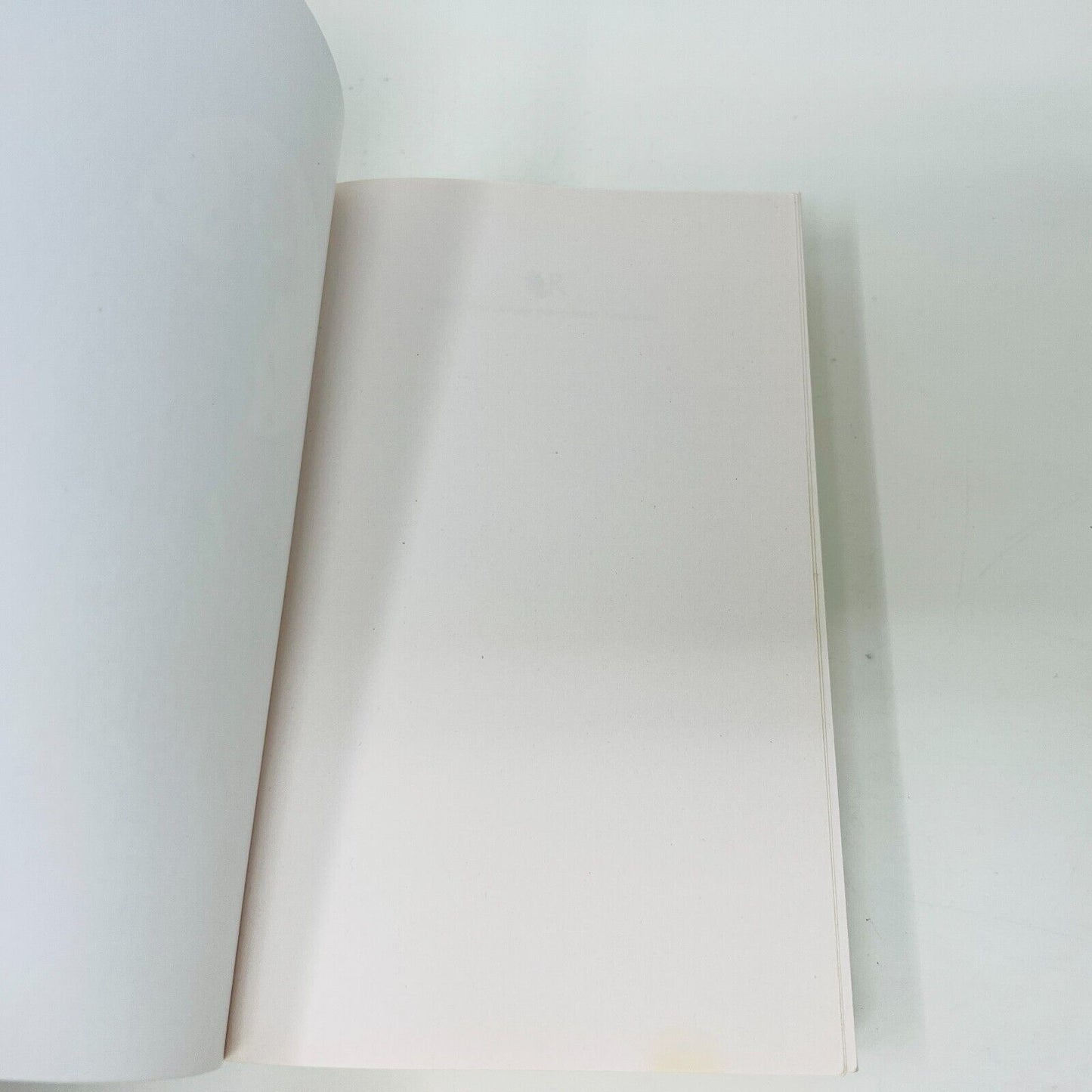 2023 Les Arcanes de Brume Livre 1 La Cartomancienne de Fanny Caldin en Français