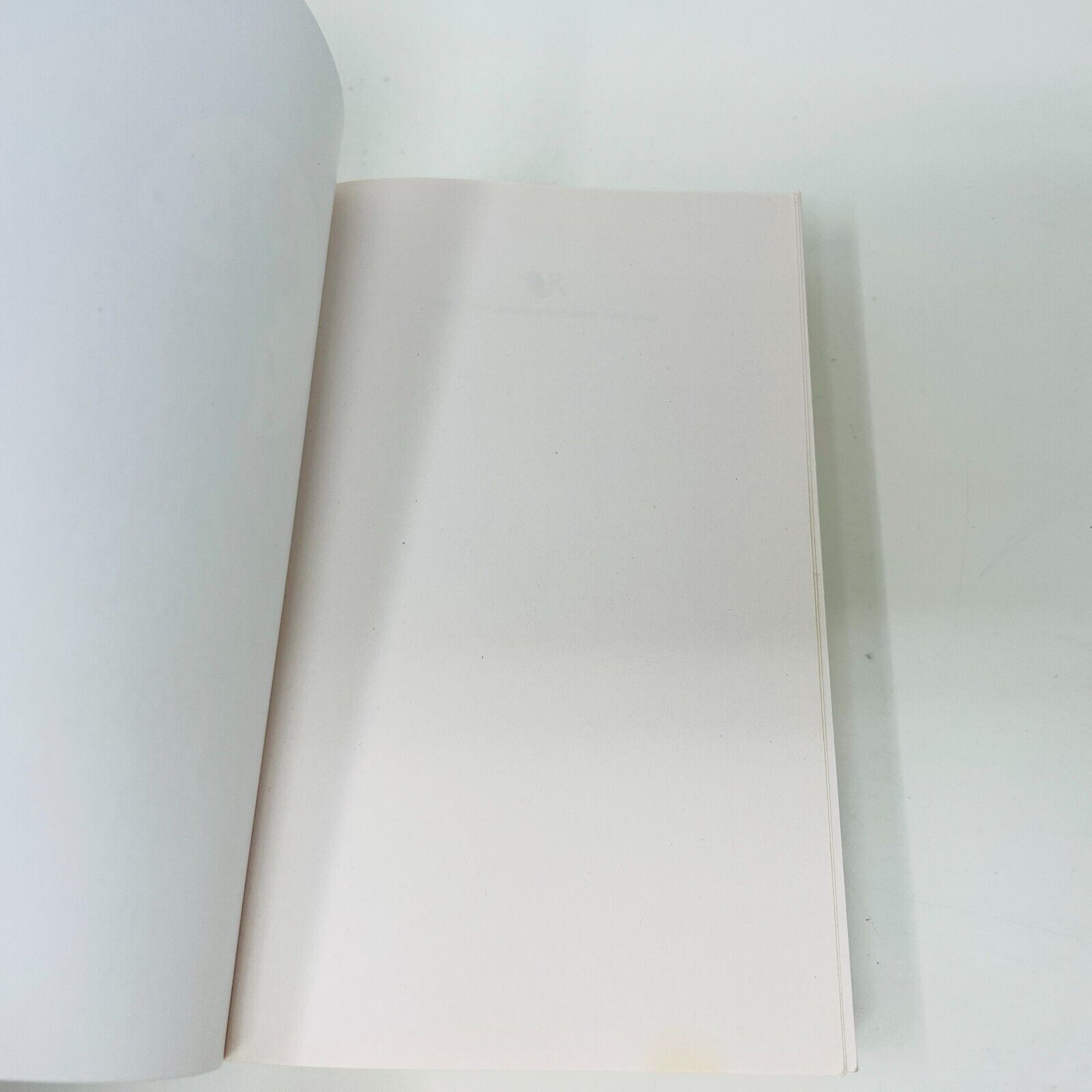 2023 Les Arcanes de Brume Livre 1 La Cartomancienne de Fanny Caldin en Français