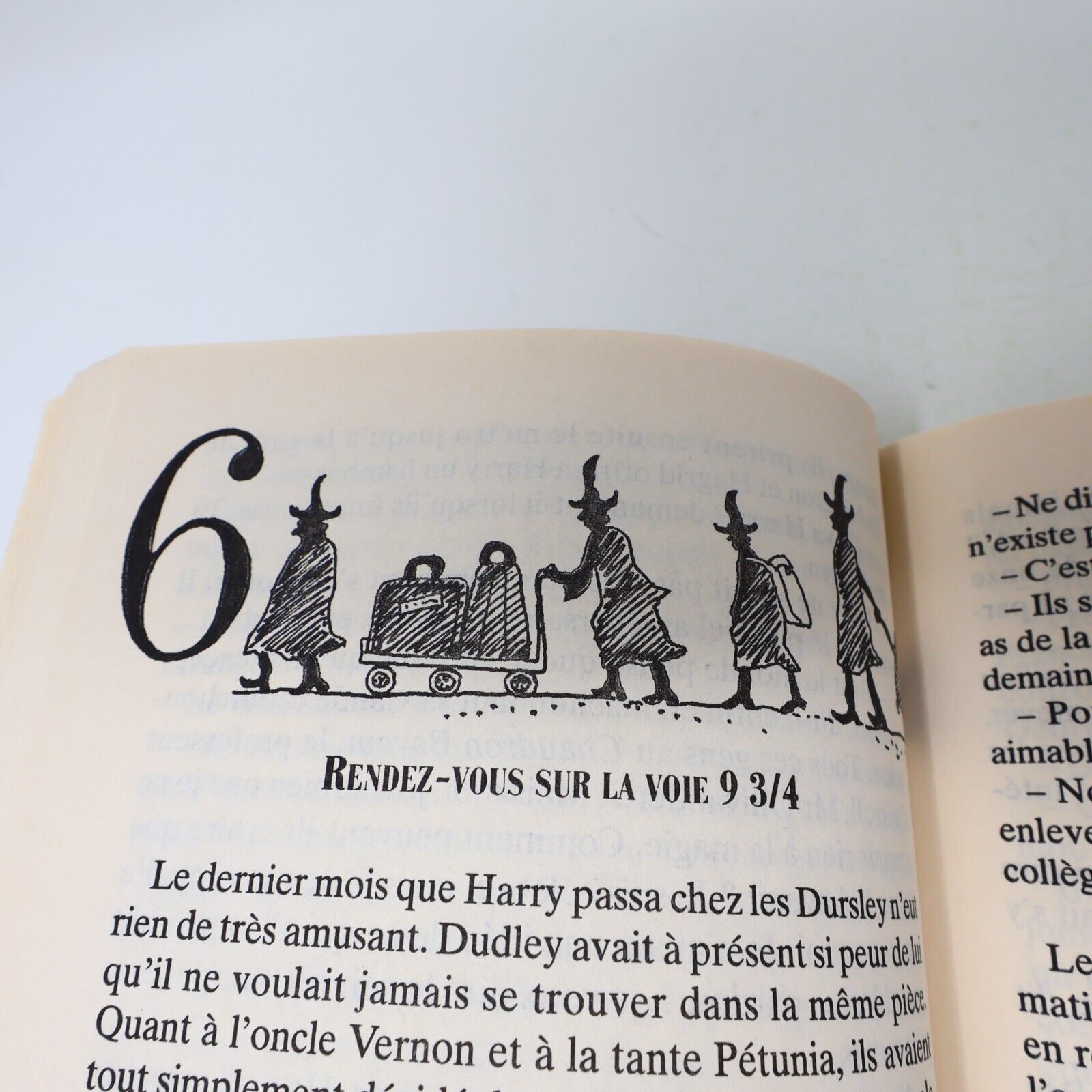 Lot 2 livres illustrés Harry Potter #1-2 Folio Junior 1st Ed Français/French