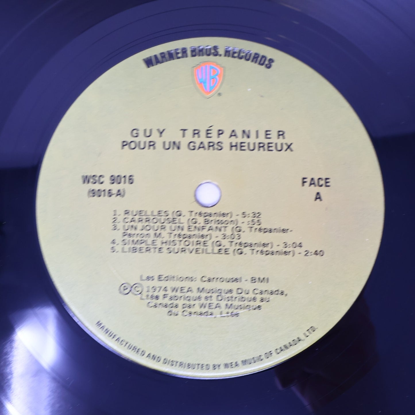 Guy Trépanier Lot 2 Disques LP Fragile L'hiver/Pour Un Gars Heureux Record Vinyl