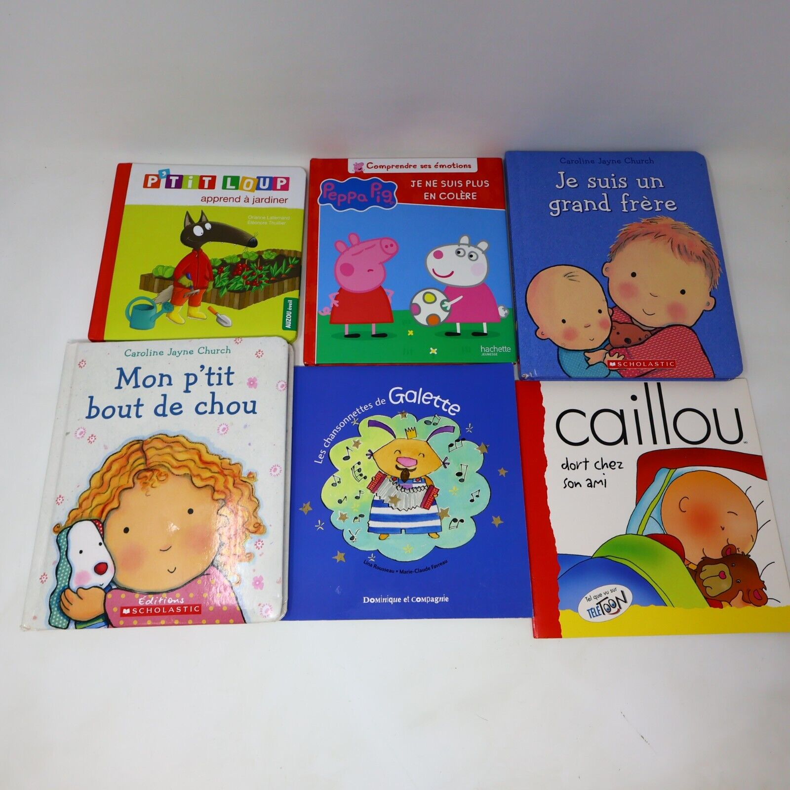 Lot 11 Livres Jeunes Enfants Loup Munsch Caillou Français French Children Bundle