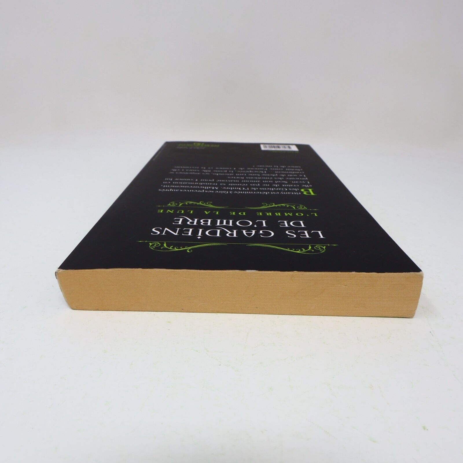 L'Ombre de la Lune Rachel Hawthorne Les Gardiens de l'Ombre #3 2013 Pocket Livre