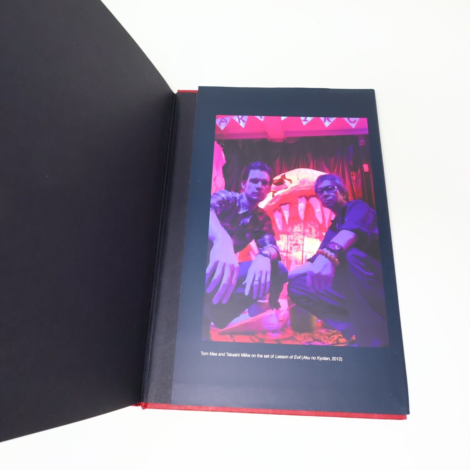 Lot 2 Books Agitator & Re-Agitator Tom Mes Takashi Miike Cinema Movie Fab Press