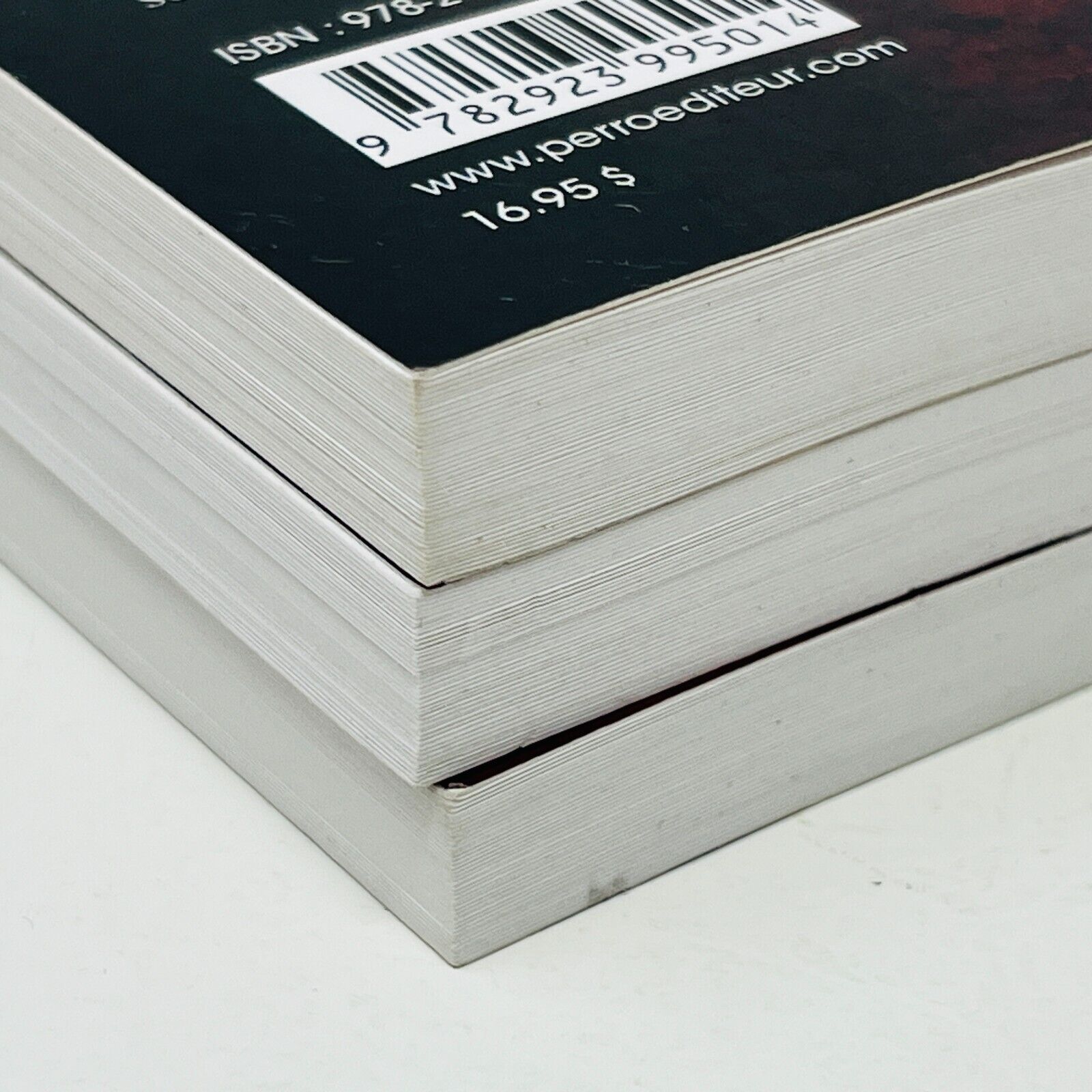 Lot Amos Daragon Le Sanctuaire des Braves #1-3 Série Complète Bryan Perro Livres