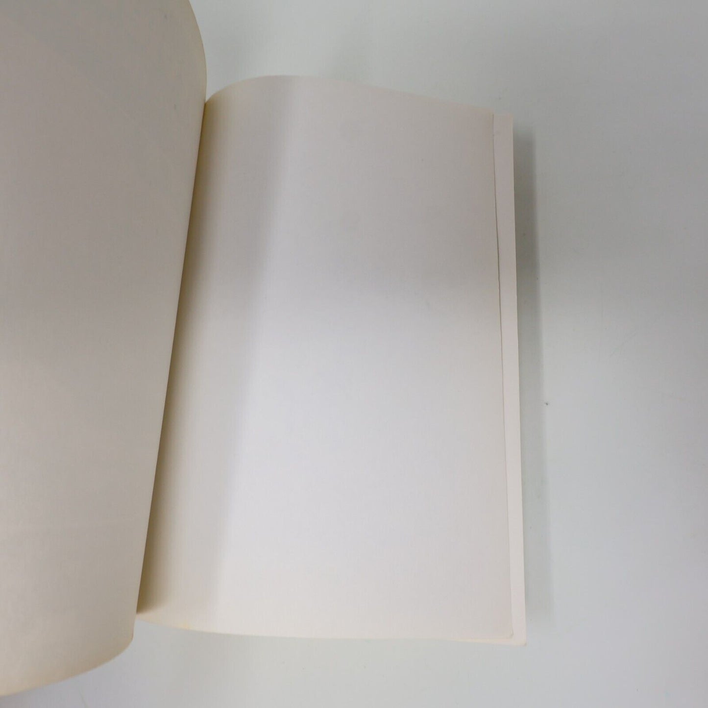 1988 Surviethon au Gré de la Nature André-François Bourbeau Jcl Survivalisme PB