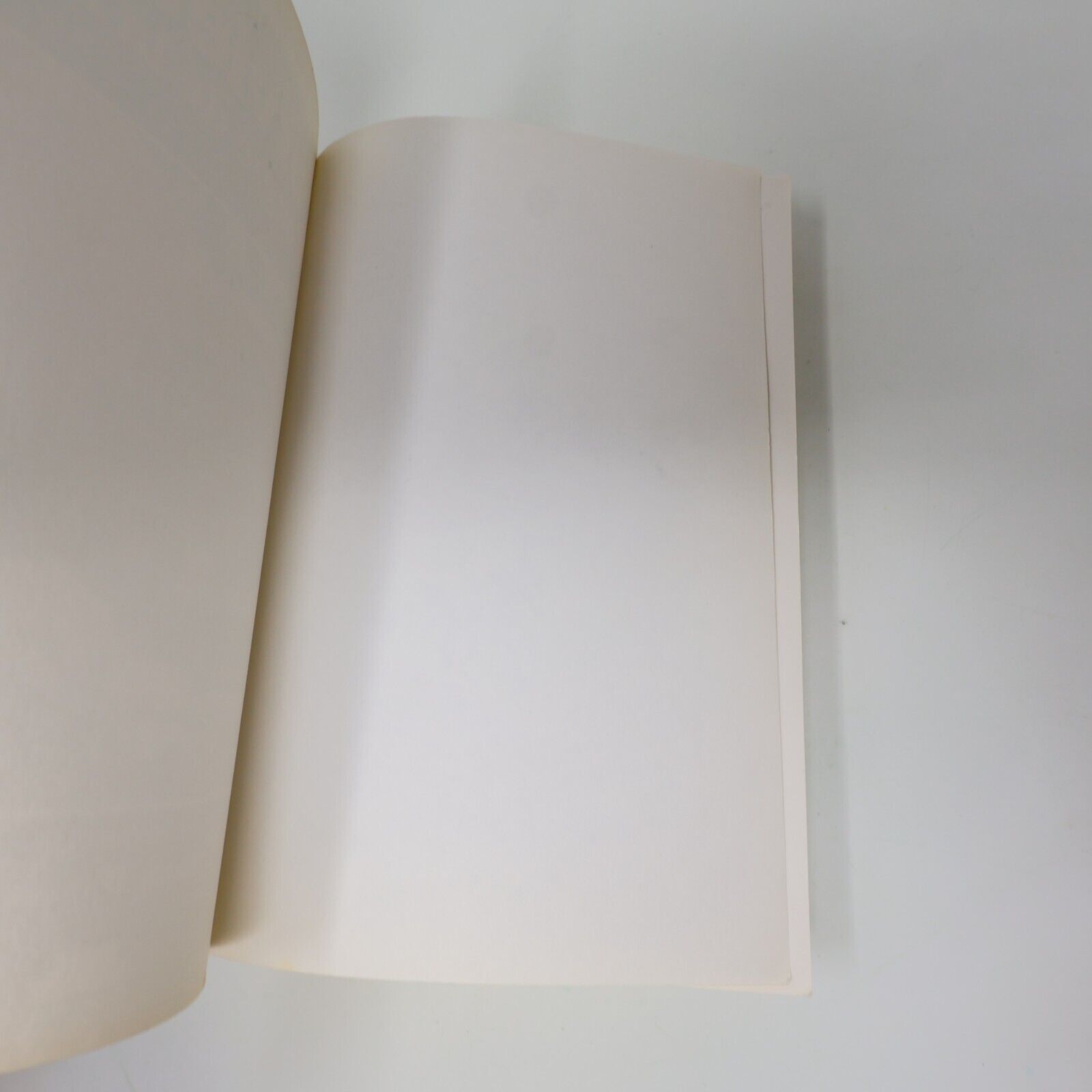1988 Surviethon au Gré de la Nature André-François Bourbeau Jcl Survivalisme PB