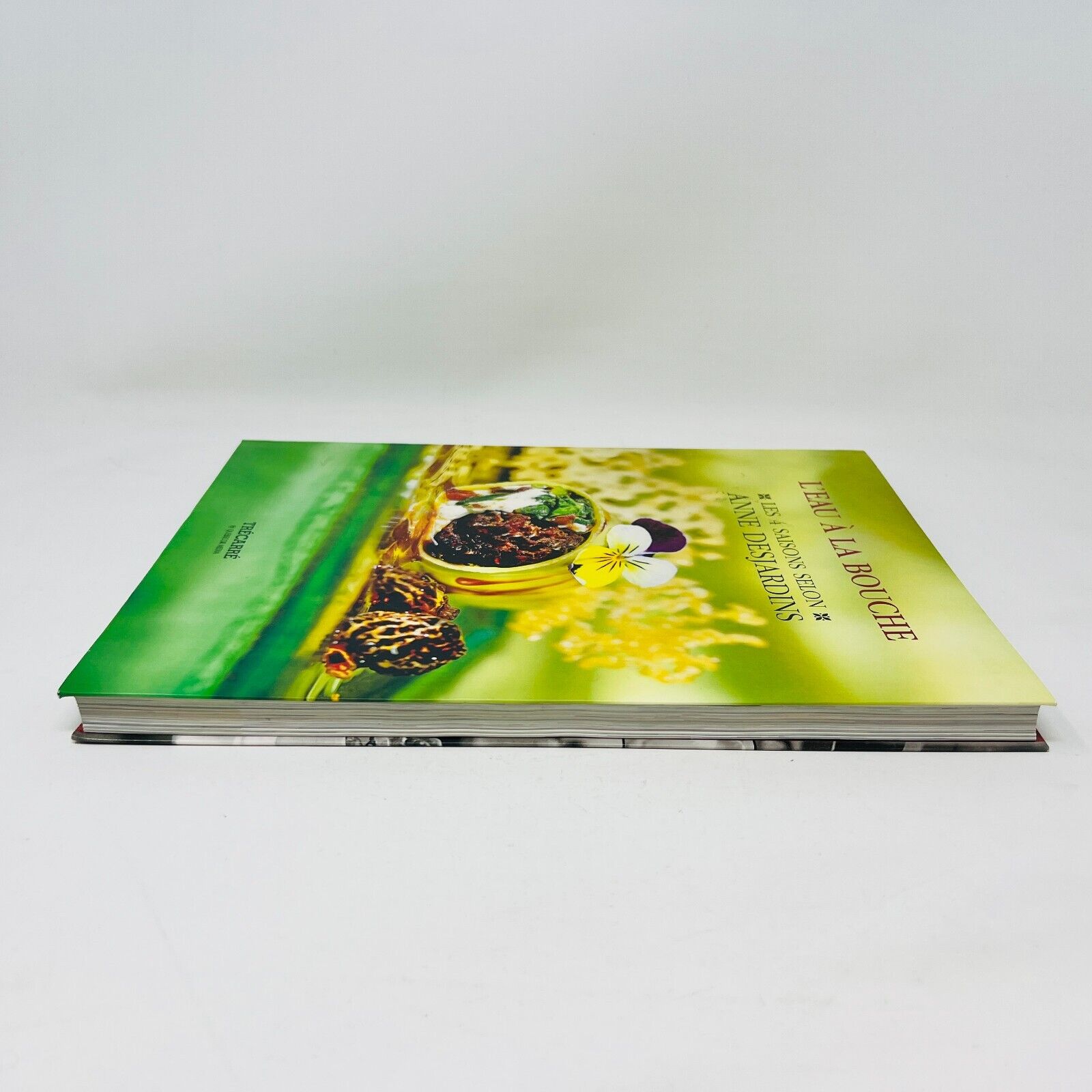 2003 L'Eau à la Bouche les 4 Saisons selon Anne Desjardins Recettes Cuisine PB