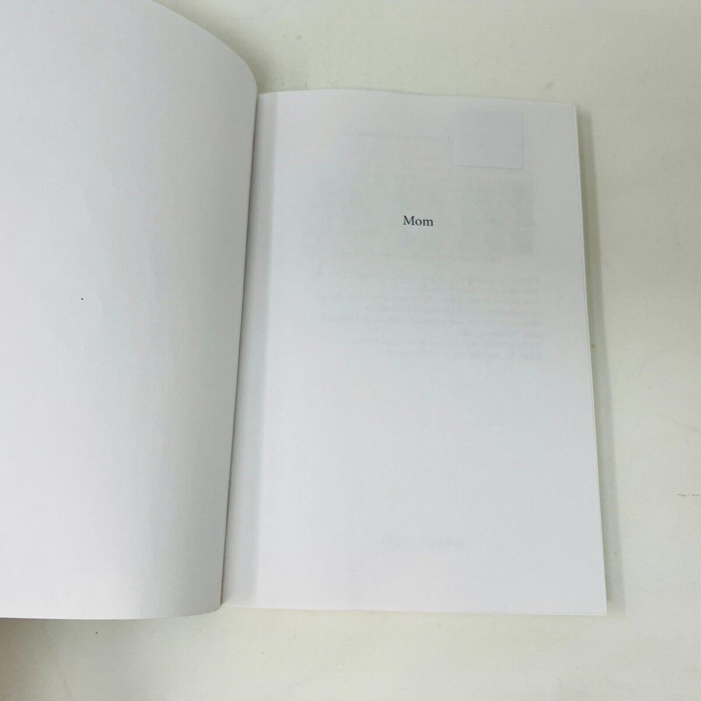 2005 Mom de Guy Ouellette/Normand Lester en Français/French Biographie Boucher