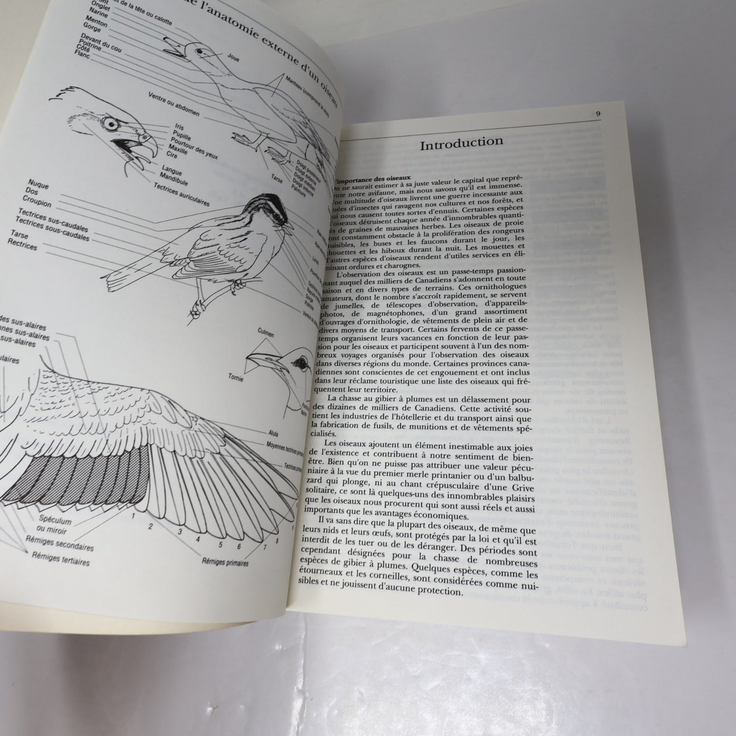 Encyclopédie des Oiseaux du Québec W. Earl Godfrey 1990 PB Ornithologie Animaux