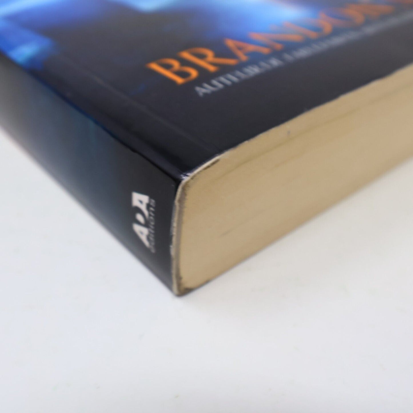 2015 Les Pirates du Ciel Brandon Mull Les Cinq Royaumes #1 Ada Français PB Ados
