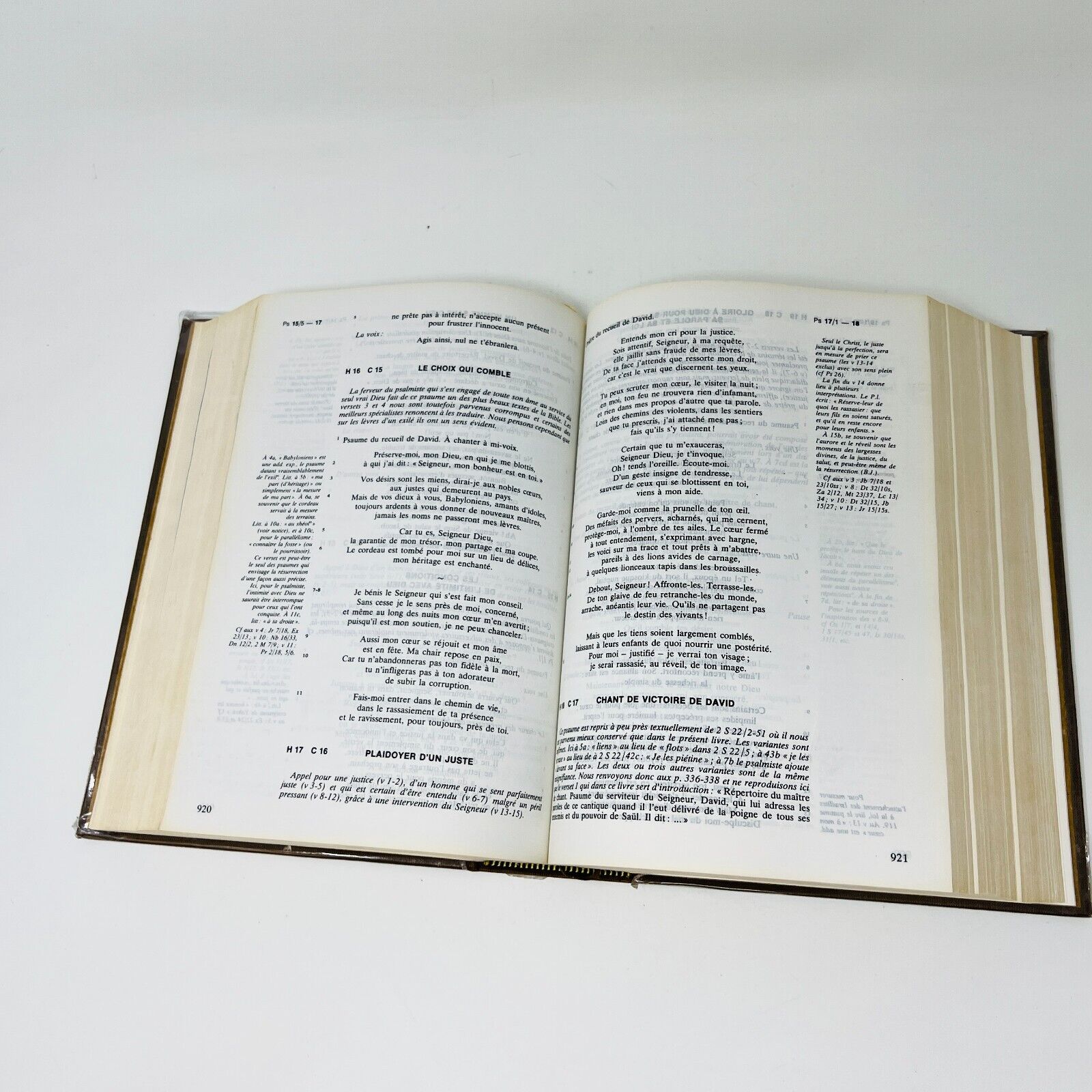 1981 La Bible de Pierre De Beaumont Éditions Anne Sigier Français French HC