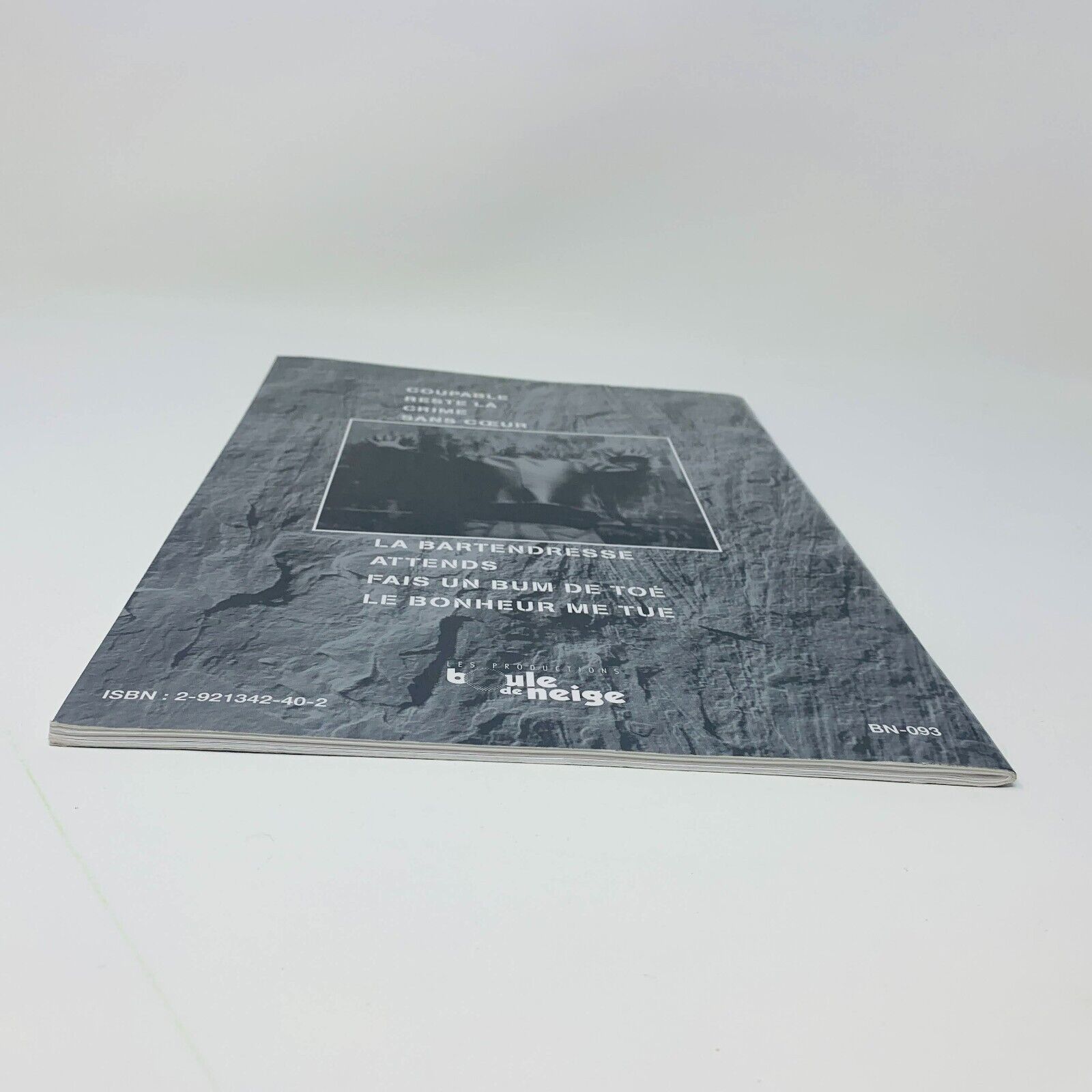 2006 Coupable Éric Lapointe Partitions Songbook Piano Guitar Français Québec