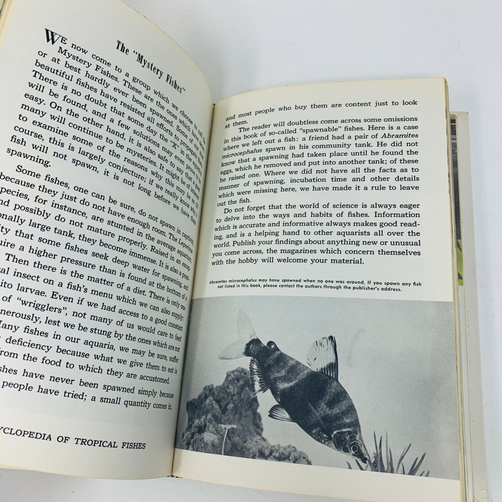 1966 Encyclopedia of Tropical Fishes Techniques of Breeding Herbert R. Axelrod