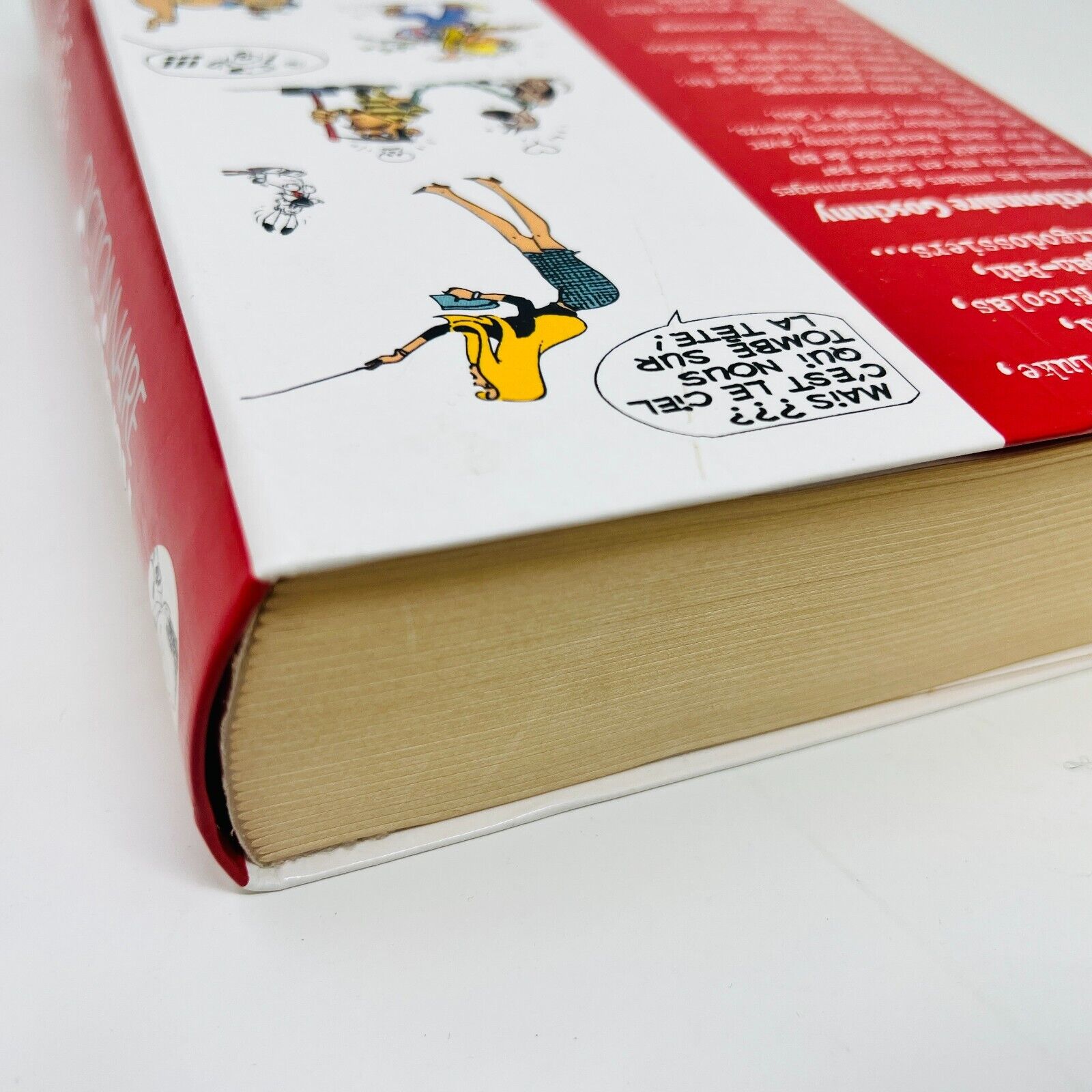 2003 Le Dictionnaire Goscinny JC Lattès Personnages Astérix/Lucky Luke/Nicolas