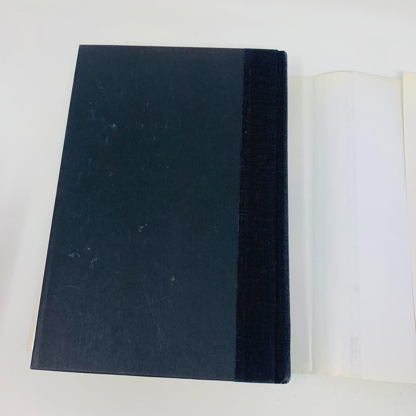 1980 The Ninja by Eric Van Lustbader Hardcover DJ Evans 1st Edition / Print Book