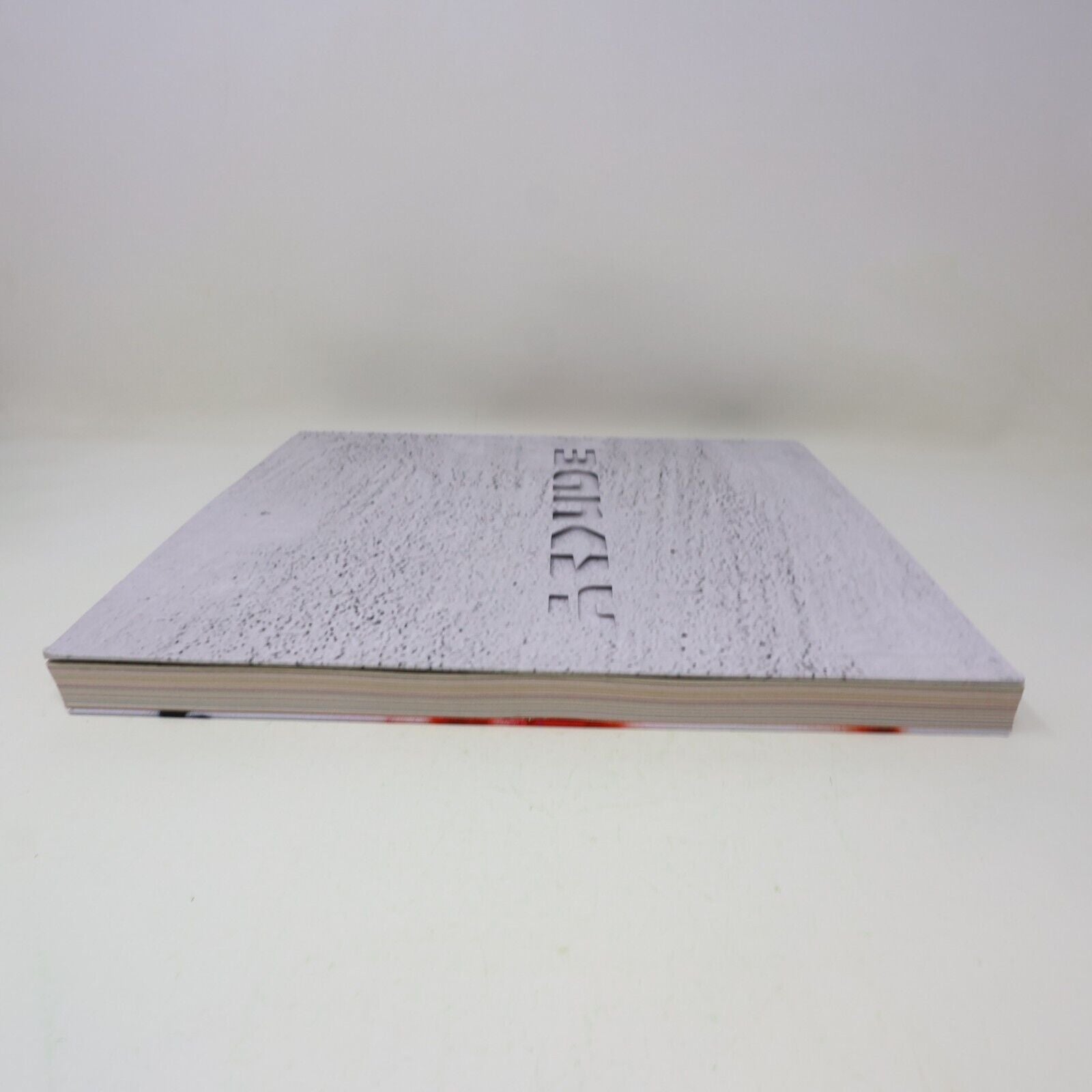 Exposition the Art of Banksy Tansel Baybara Français French Paperback Catalogue