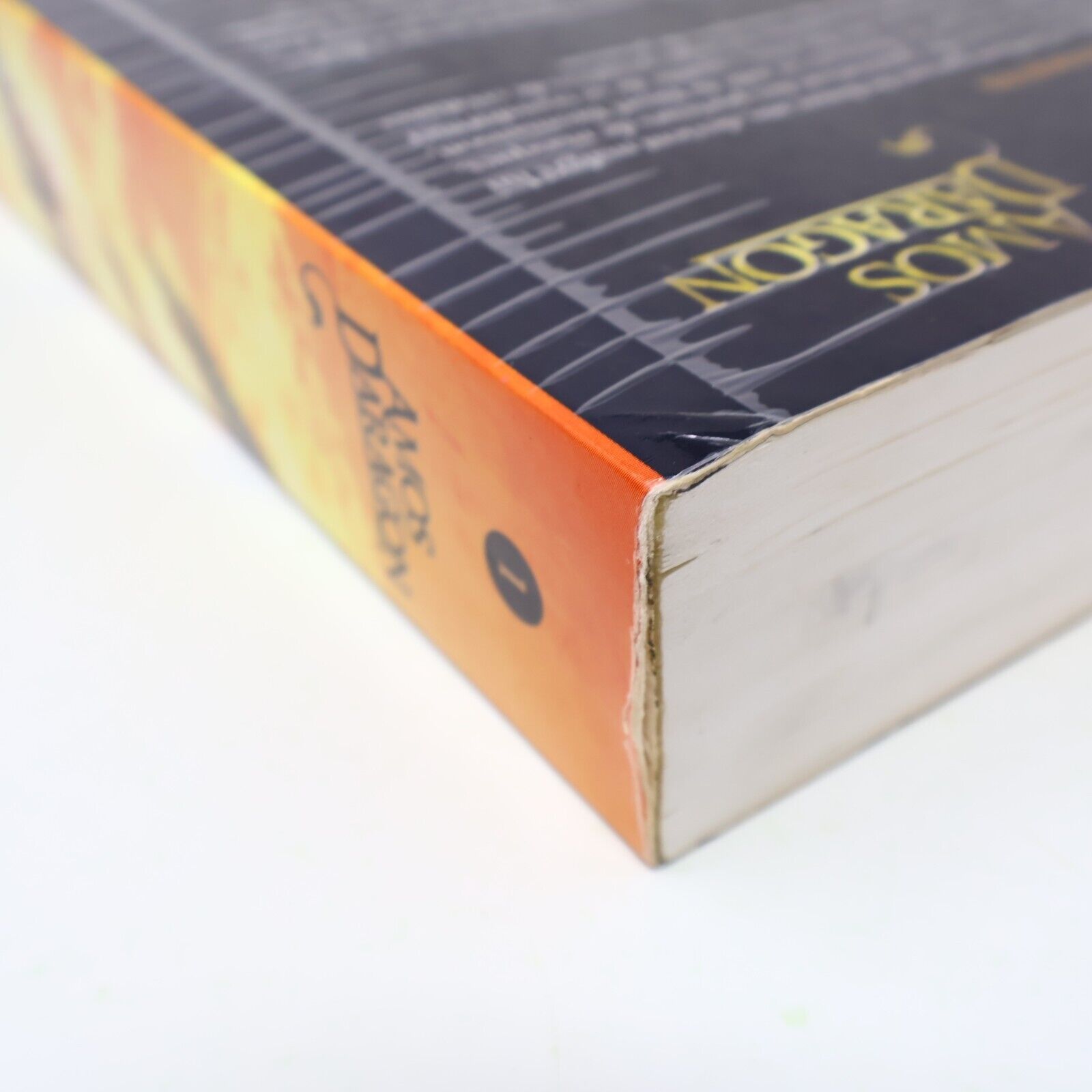 Amos Daragon Trilogie #1 Omnibus Fantasy Ados Bryan Perro 2012 Français Livre PB
