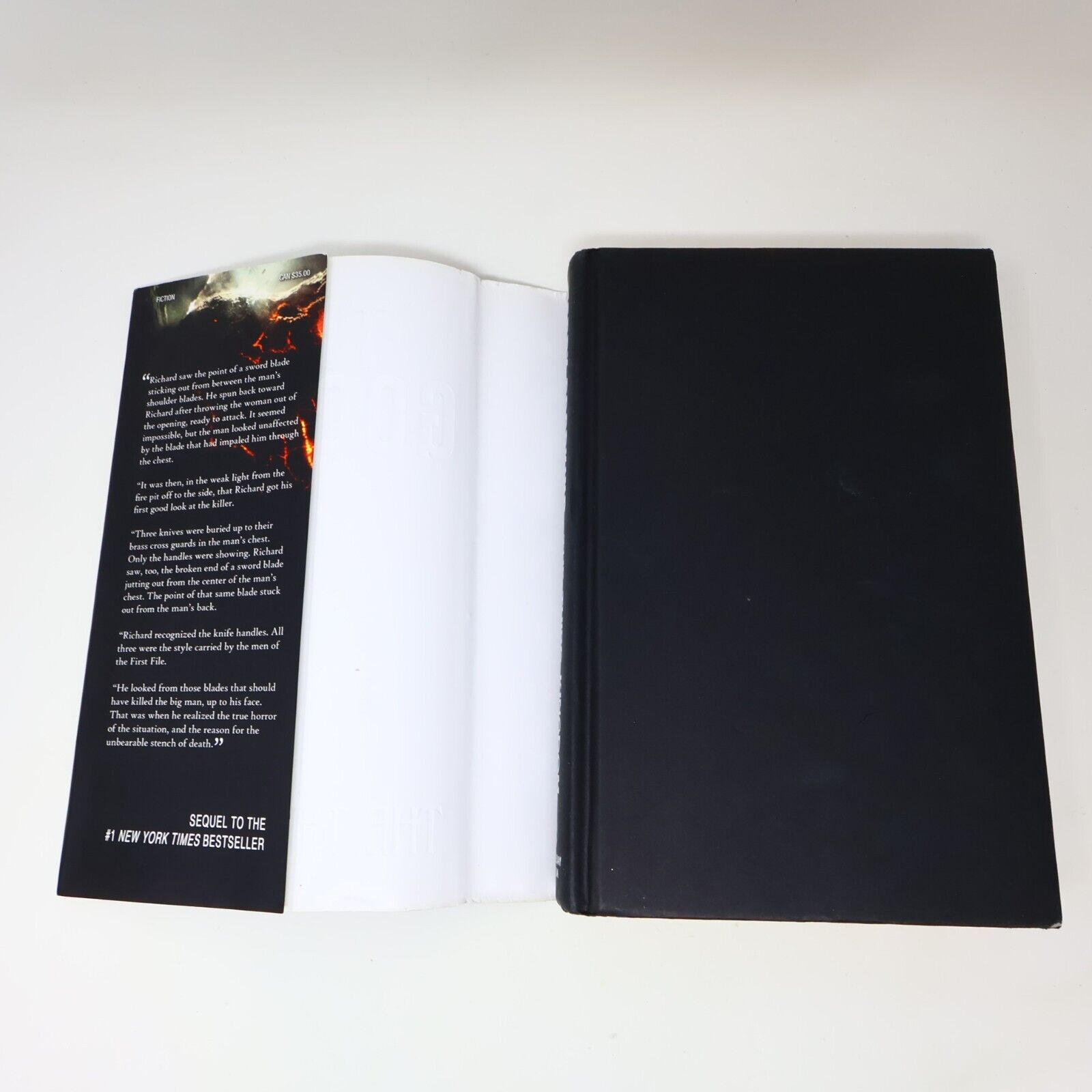 2013 The Third Kingdom The Sword of Truth #13 Richard and Kahlan Fantasy Book HC