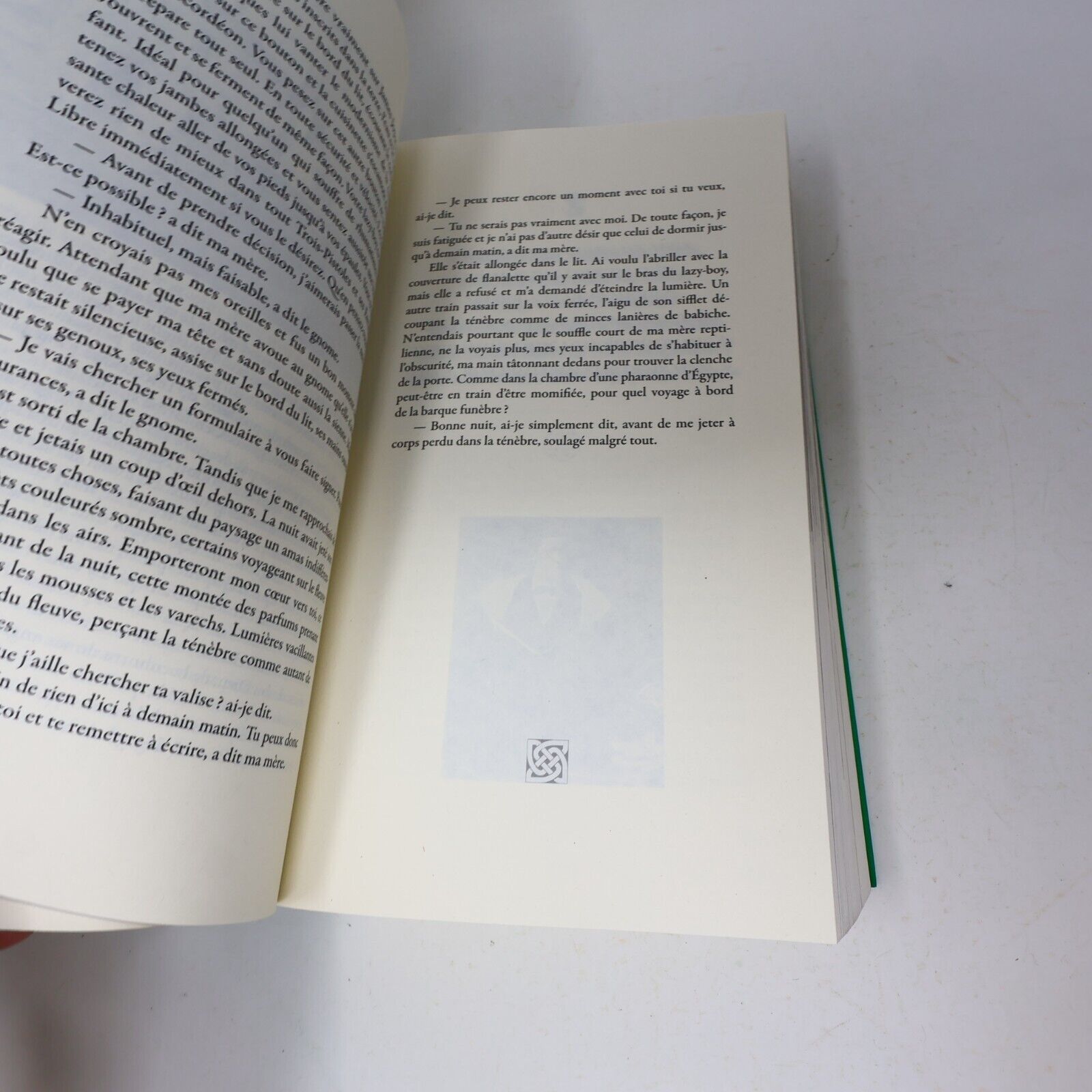 2006 James Joyce l'Irlande le Québec les Mots Essai Hilare Victor Lévy Beaulieu