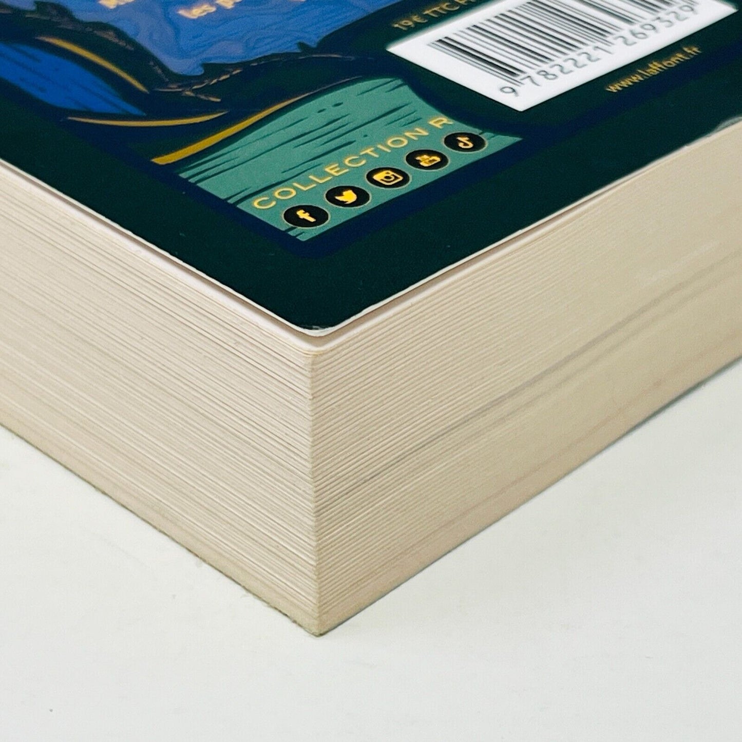 2023 Les Arcanes de Brume Livre 1 La Cartomancienne de Fanny Caldin en Français