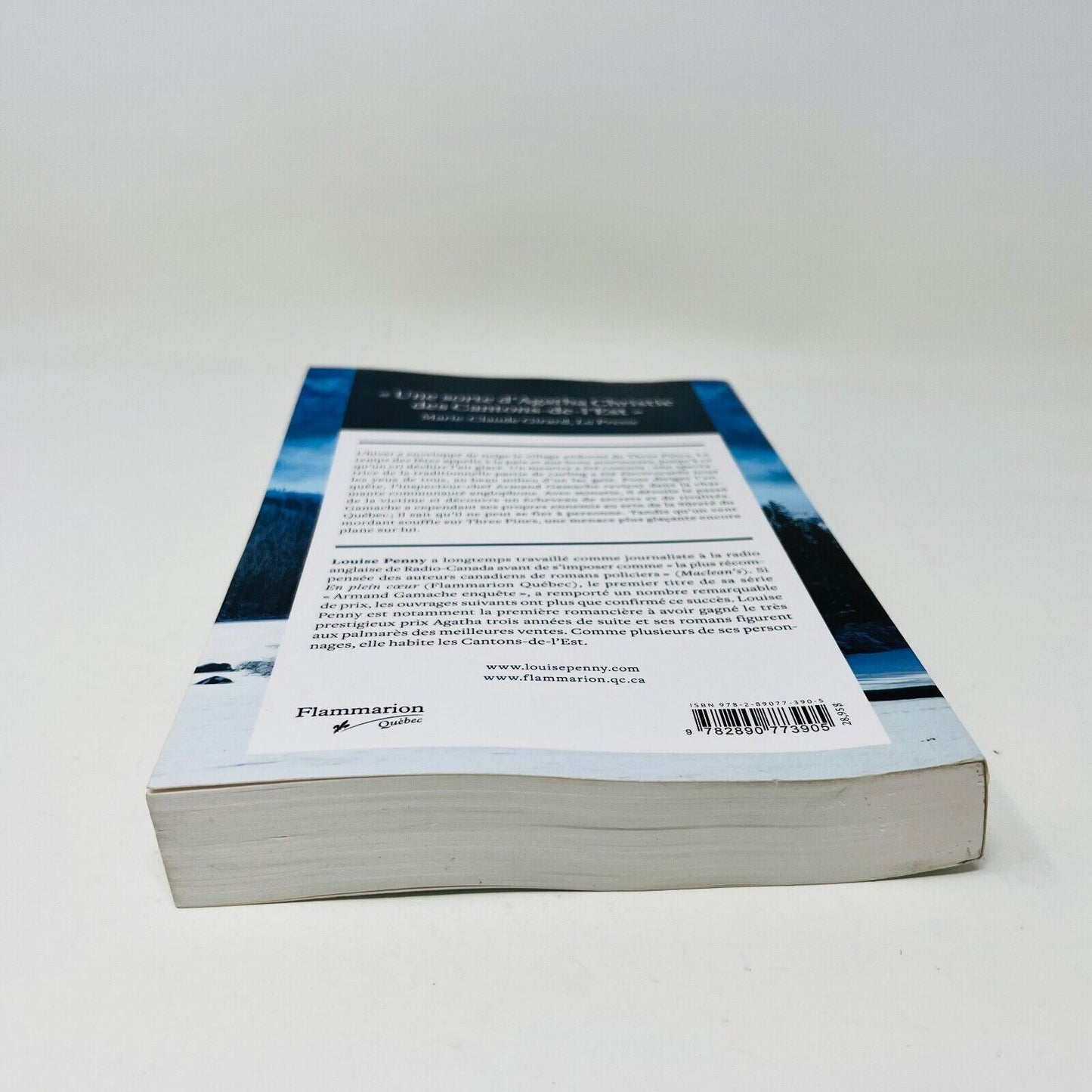 2011 Sous la glace de Louise Penny Armand Gamache Enquête Flammarion en Français