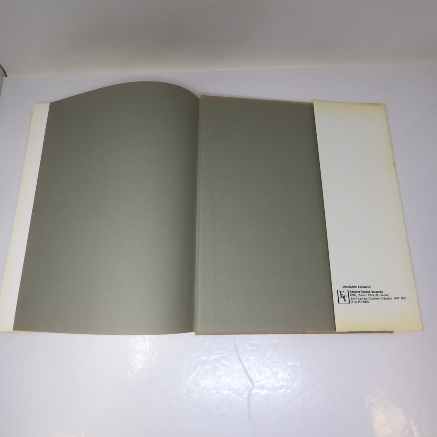 Pablo Picasso Rencontre à Montréal Art Catalogue d'Exposition 1985 HC Français