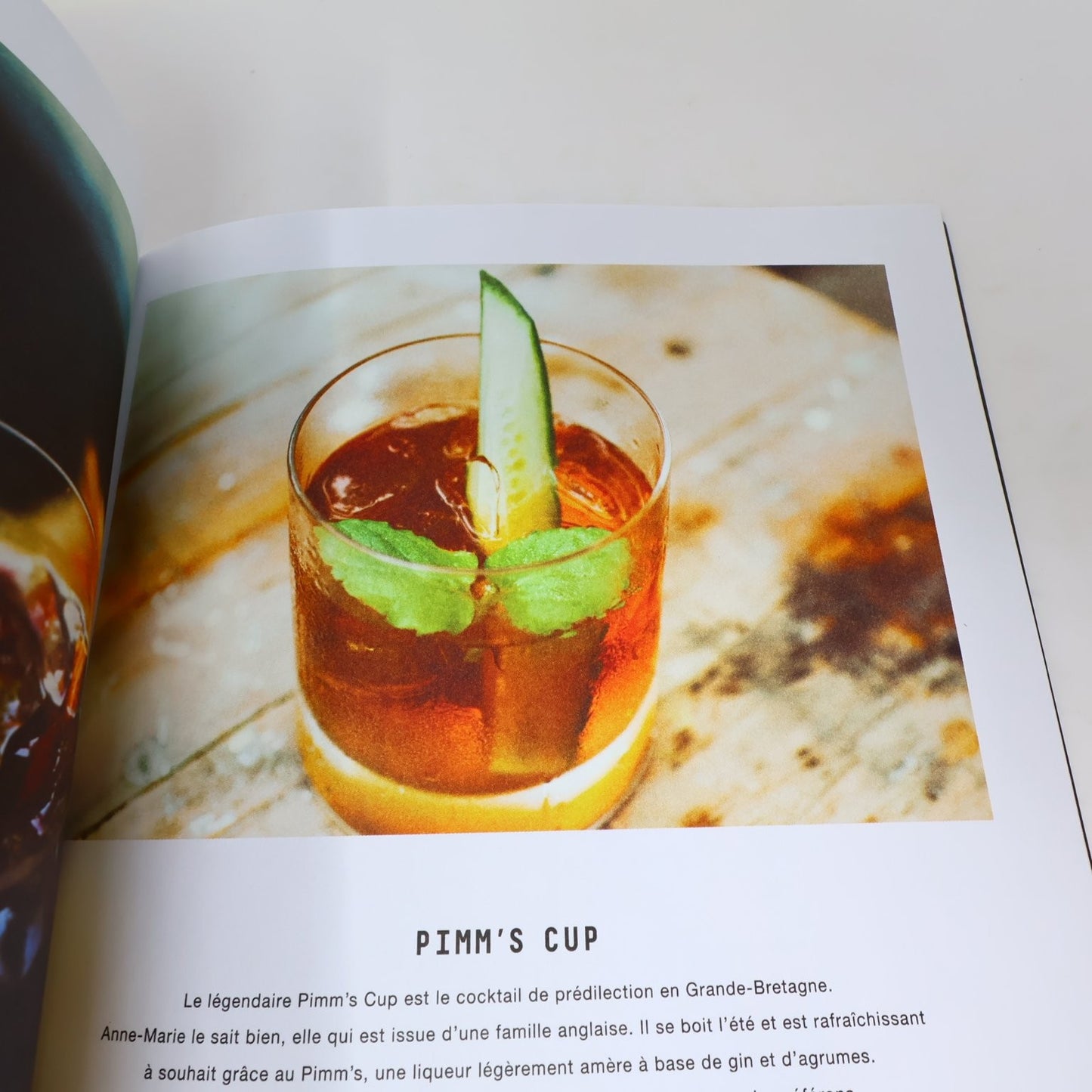 Le Bon Mix Patrice Plante Pierre-Yves Lord 2015 Recettes Cocktail Livre Québec