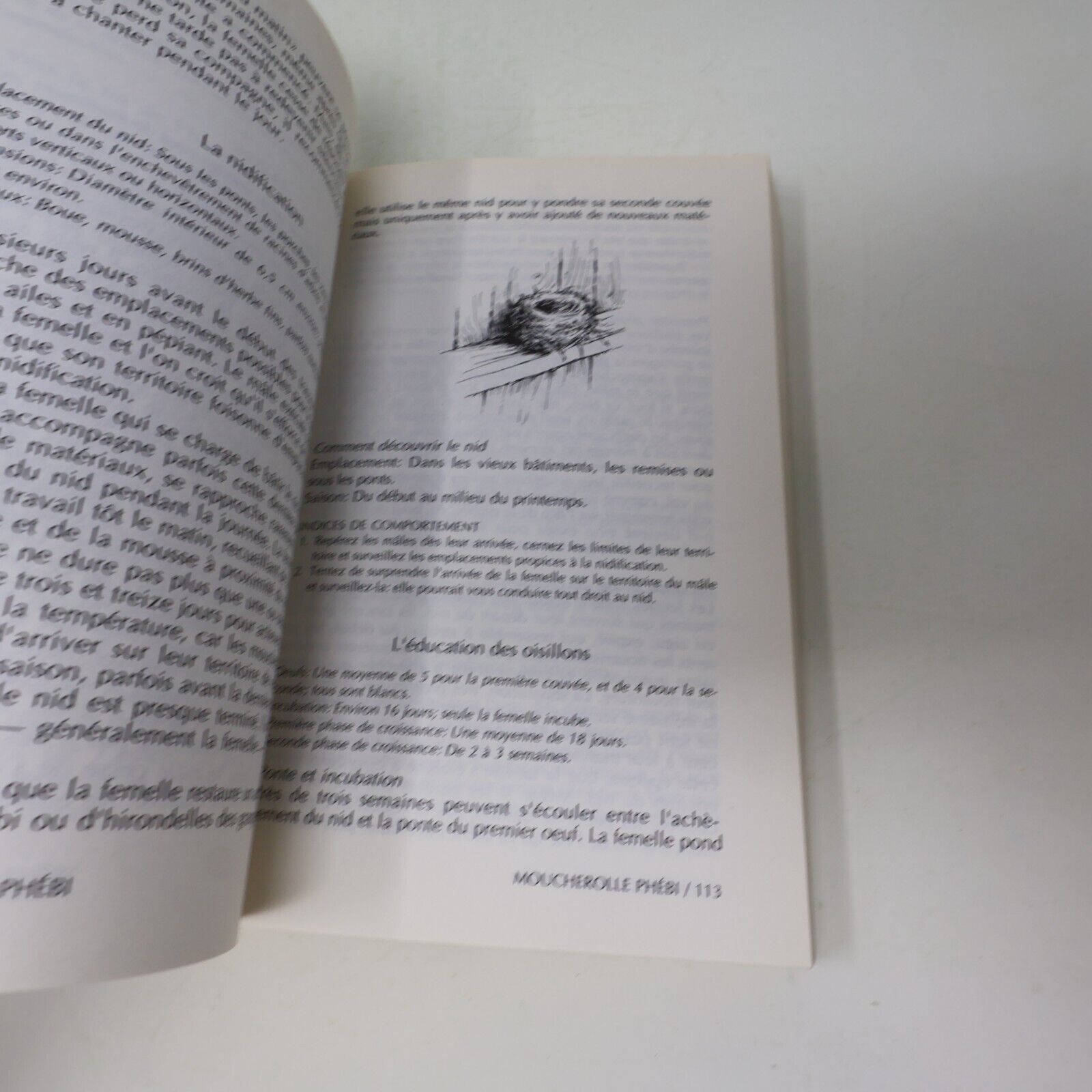 Nos Oiseaux Donald & Lillian Stokes Les Guides Stokes de la Nature #II (2) 1990