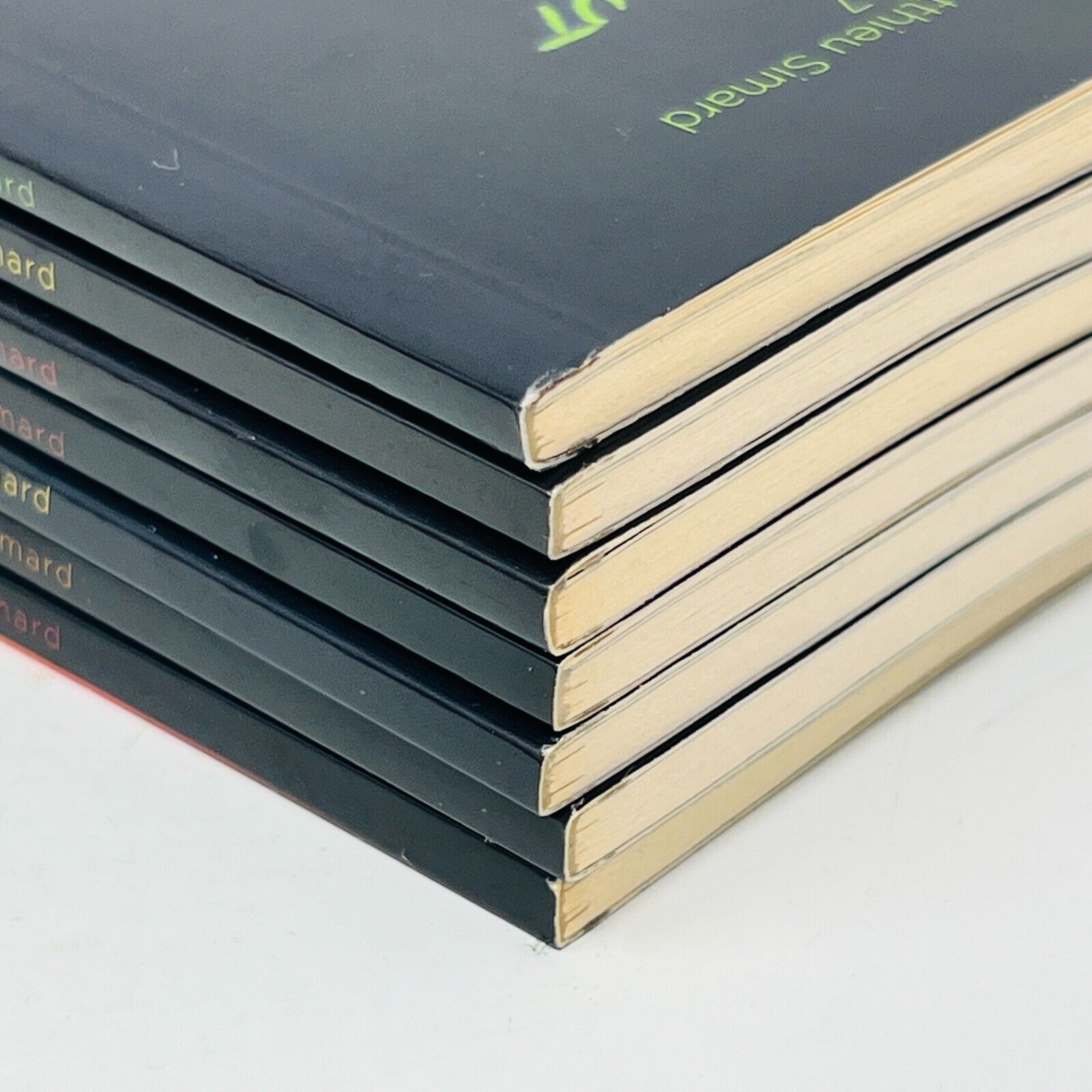 Pavel Épisodes 7 à 13 de Matthieu Simard Lot de Livres Epizzod La Courte Échelle