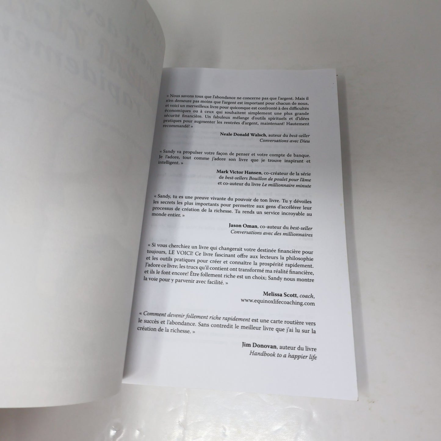 Comment Devenir Follement Riche Rapidement Sandy Forster 2006 Argent Psychologie