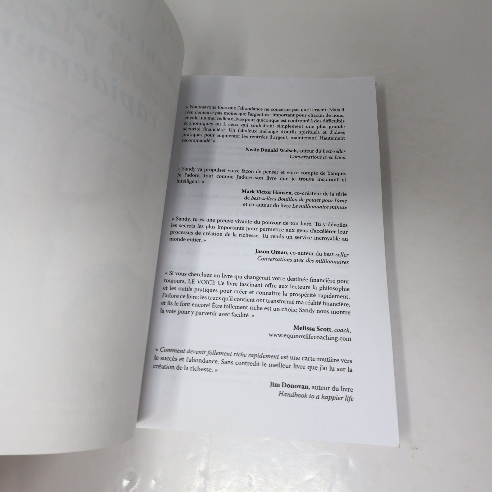 Comment Devenir Follement Riche Rapidement Sandy Forster 2006 Argent Psychologie