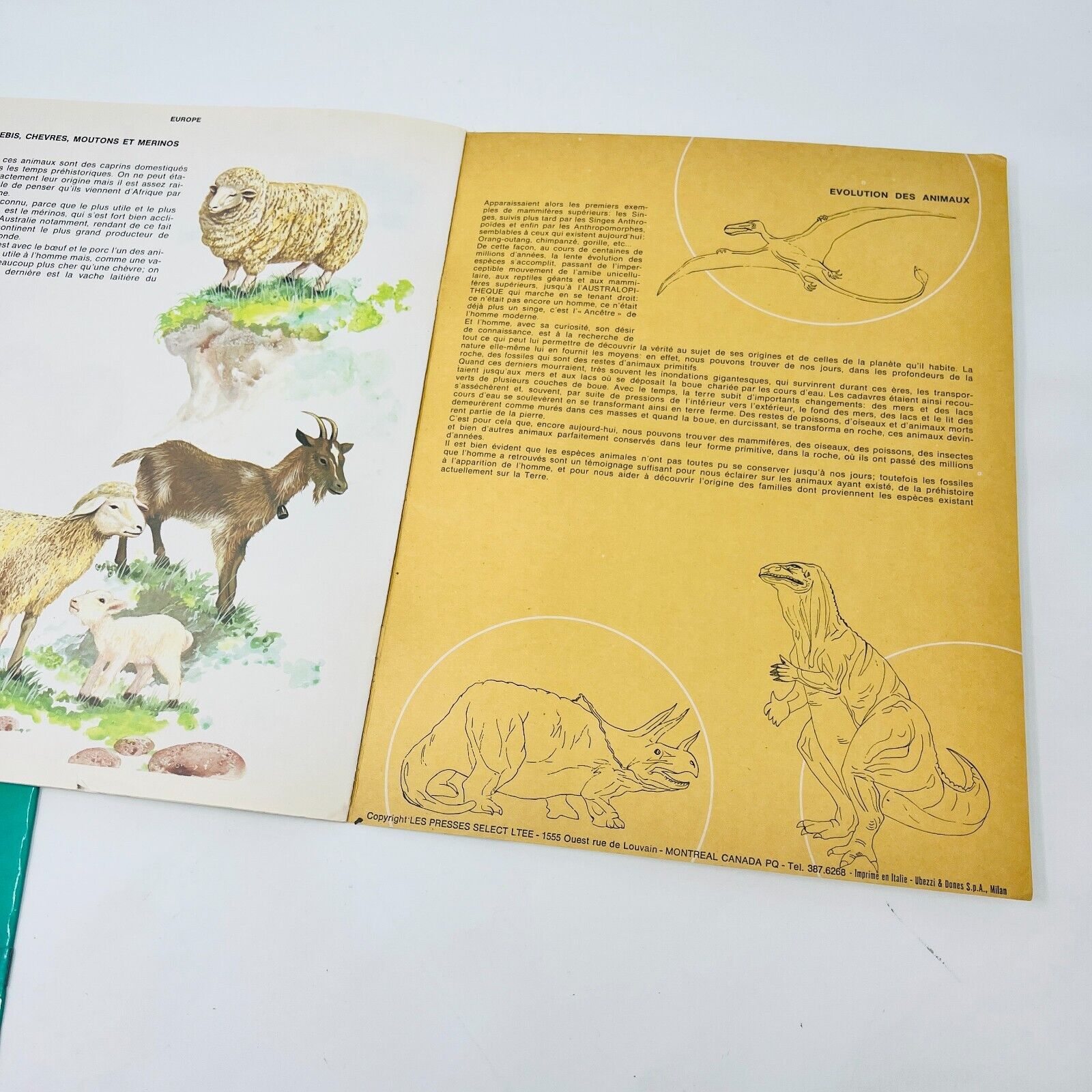 12x Les Animaux Vus par Claude Darget Presses Select Français 1960s Lot Livres