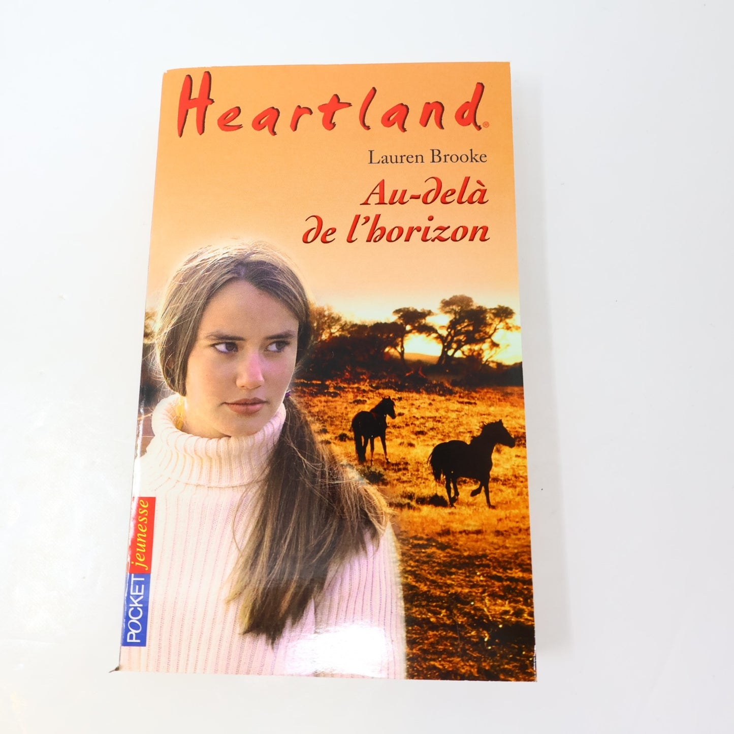 Heartland Lot 19 Livres Lauren Brooke Pocket Je Reste!/Après l'Orage Chevaux PB
