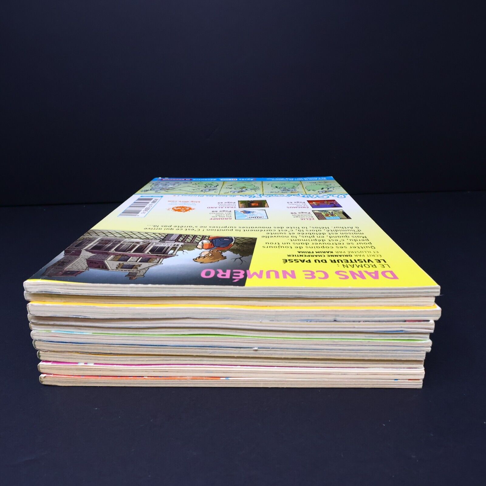 Lot 10 Magazines DLire Enfants Magazine Bayard Le Maître et les Elfes Français