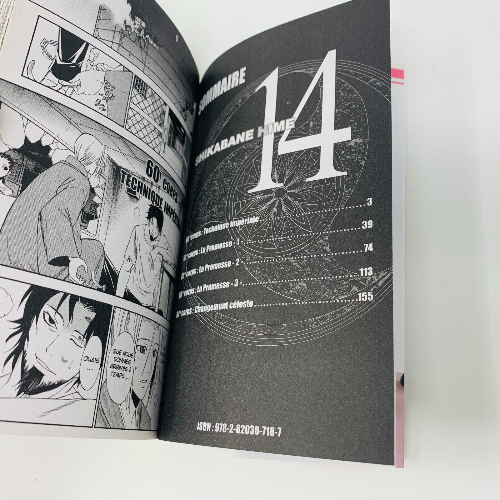 2013 Shikabane Hime Volume 14 Kazé Manga Shonen Up! Français Yoshiichi Akahito